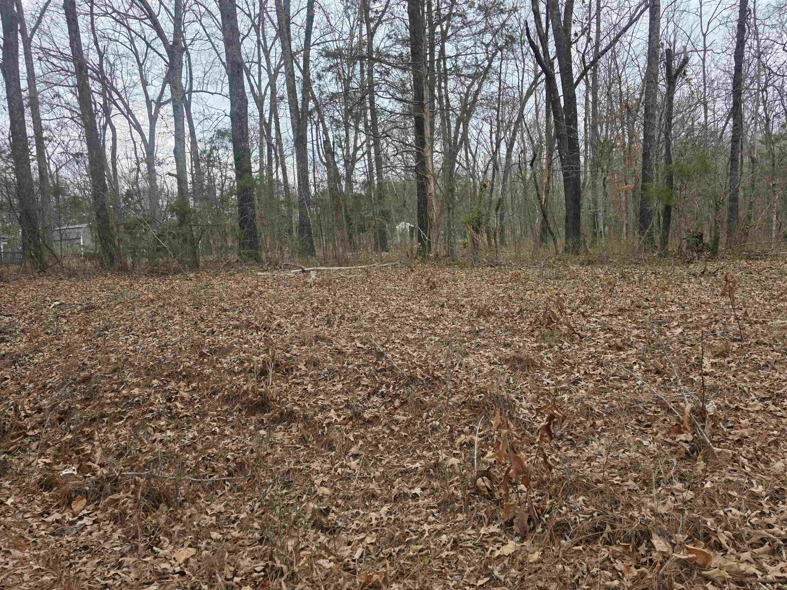 Vacant Land for sale – 23 lots  Cherokee Village & Ozark Acres   Cherokee Village, AR