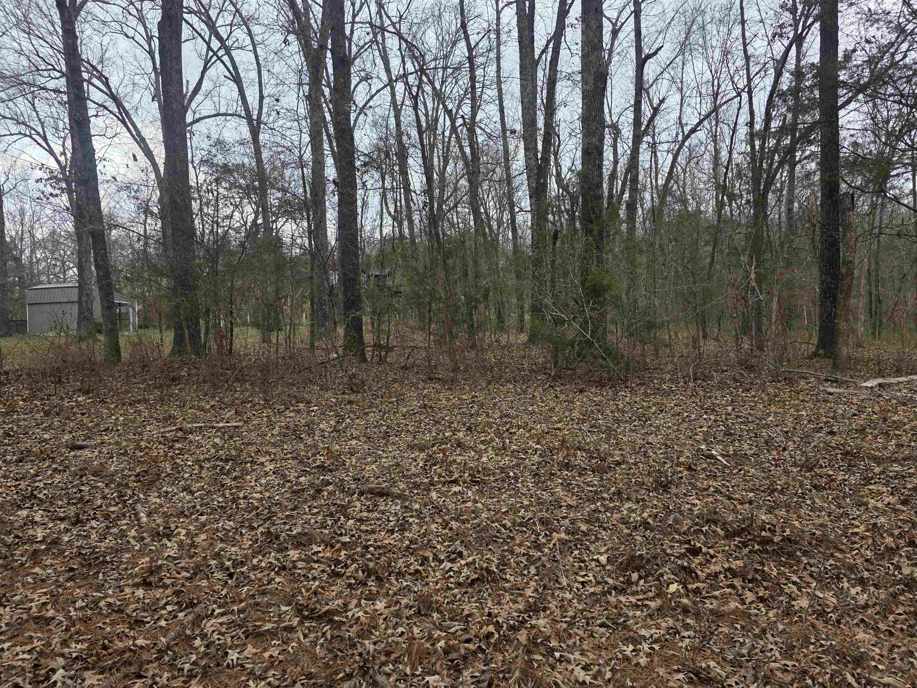 Photo 13 - Vacant Land for sale – 23 lots  Cherokee Village & Ozark Acres   Cherokee Village, AR