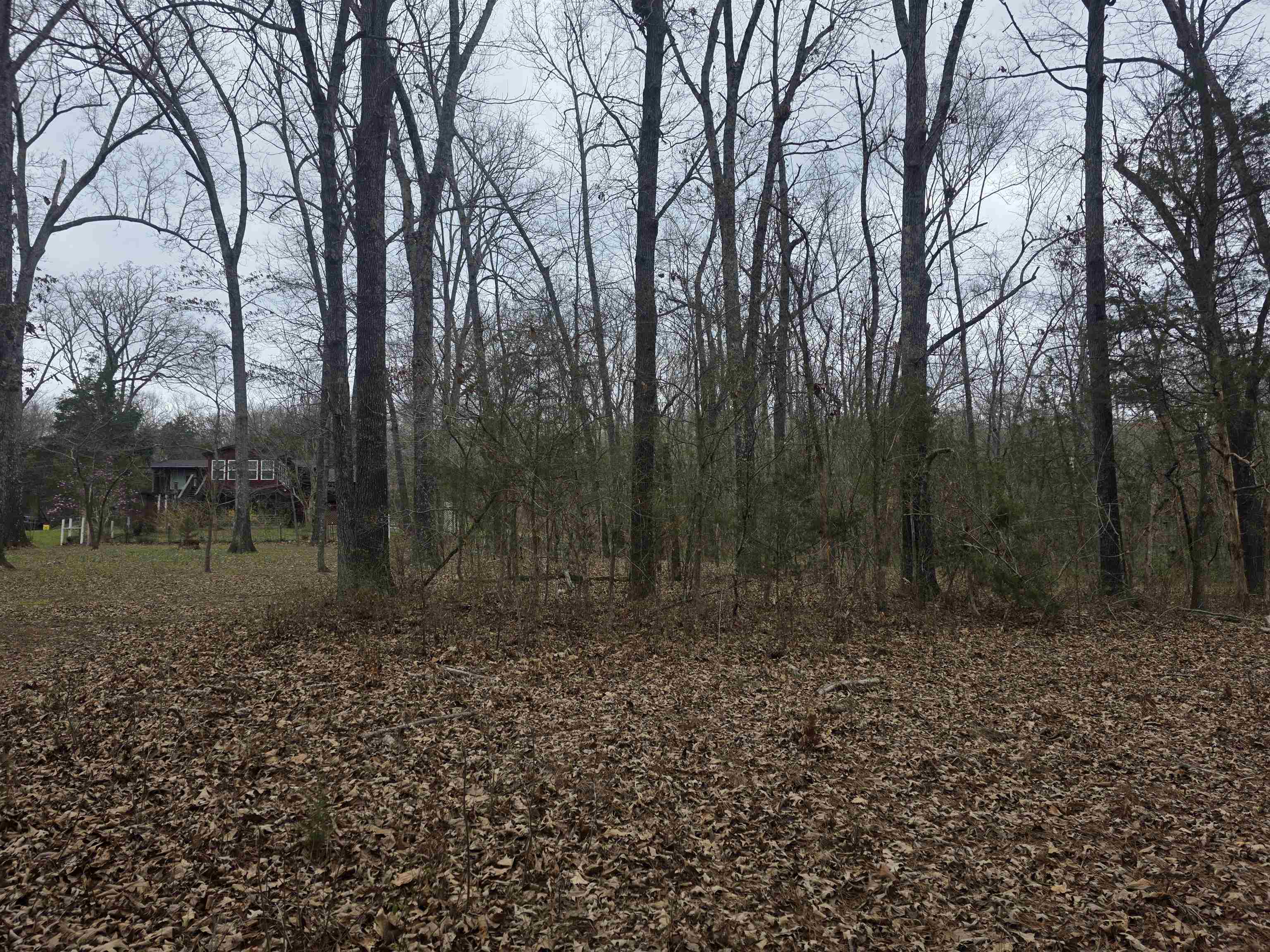 Photo 15 - Vacant Land for sale – 23 lots  Cherokee Village & Ozark Acres   Cherokee Village, AR