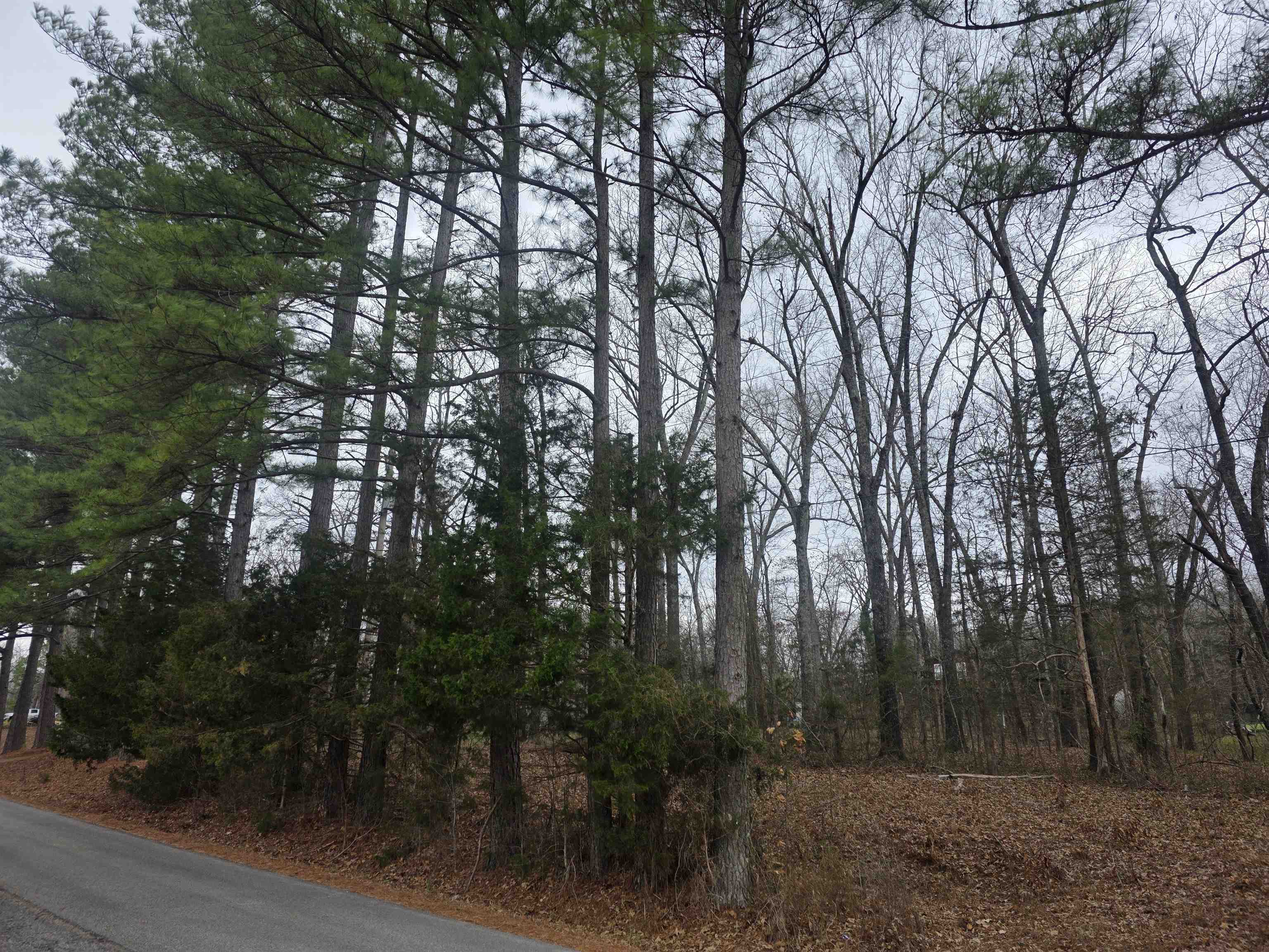 Photo 3 - Vacant Land for sale – 23 lots  Cherokee Village & Ozark Acres   Cherokee Village, AR