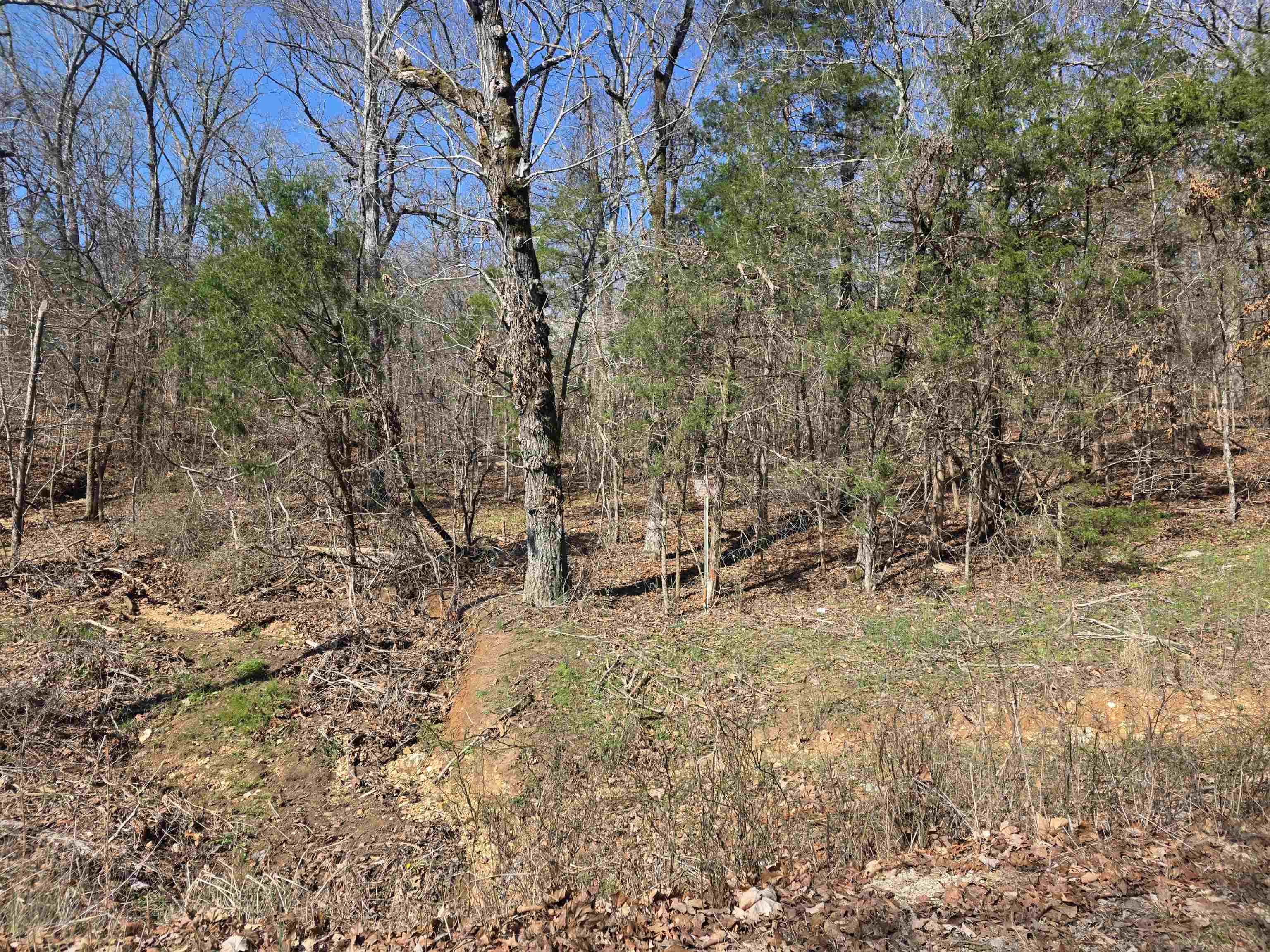 Photo 21 - Vacant Land for sale – 23 lots  Cherokee Village & Ozark Acres   Cherokee Village, AR