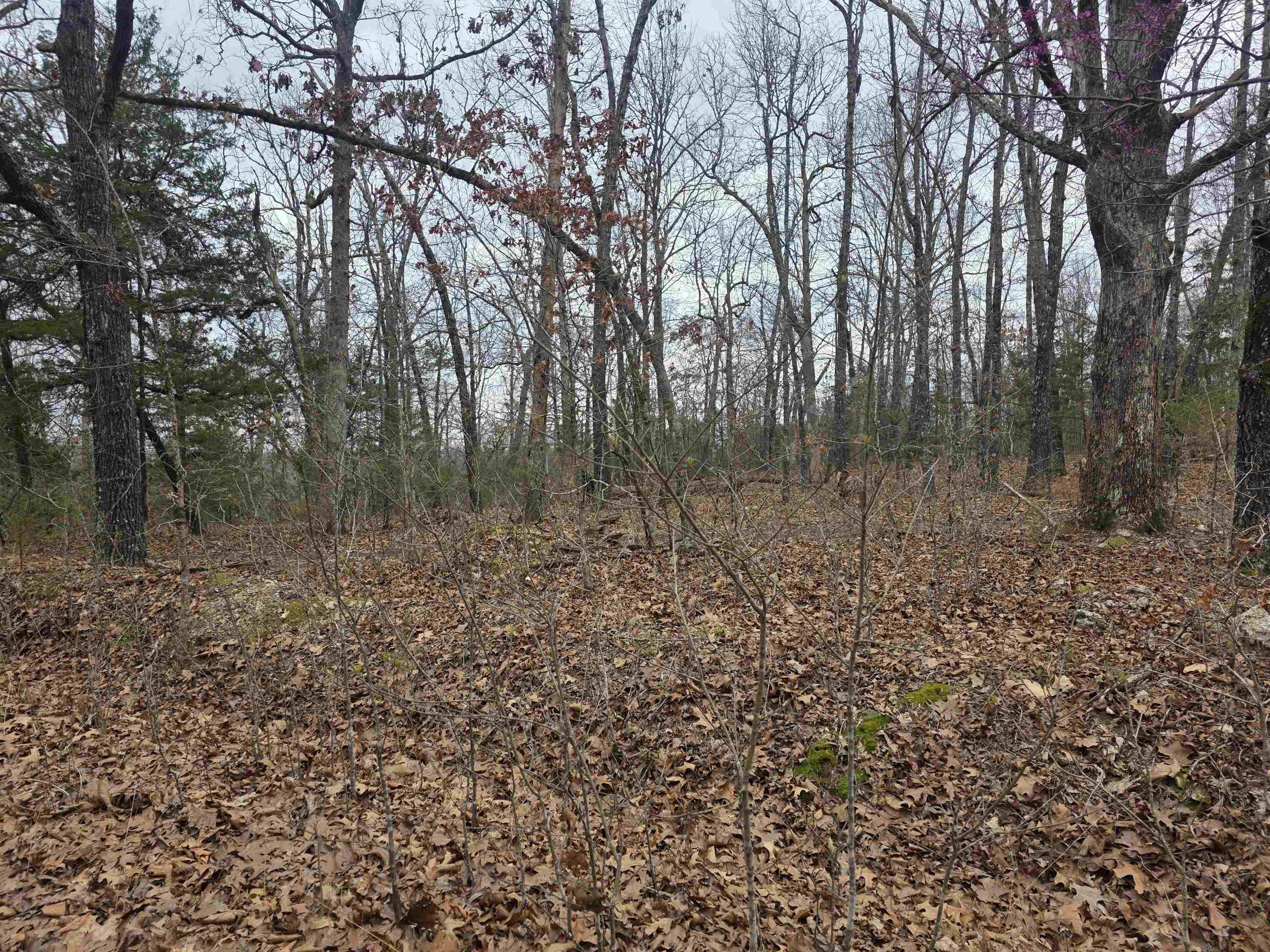 Photo 32 - Vacant Land for sale – 23 lots  Cherokee Village & Ozark Acres   Cherokee Village, AR