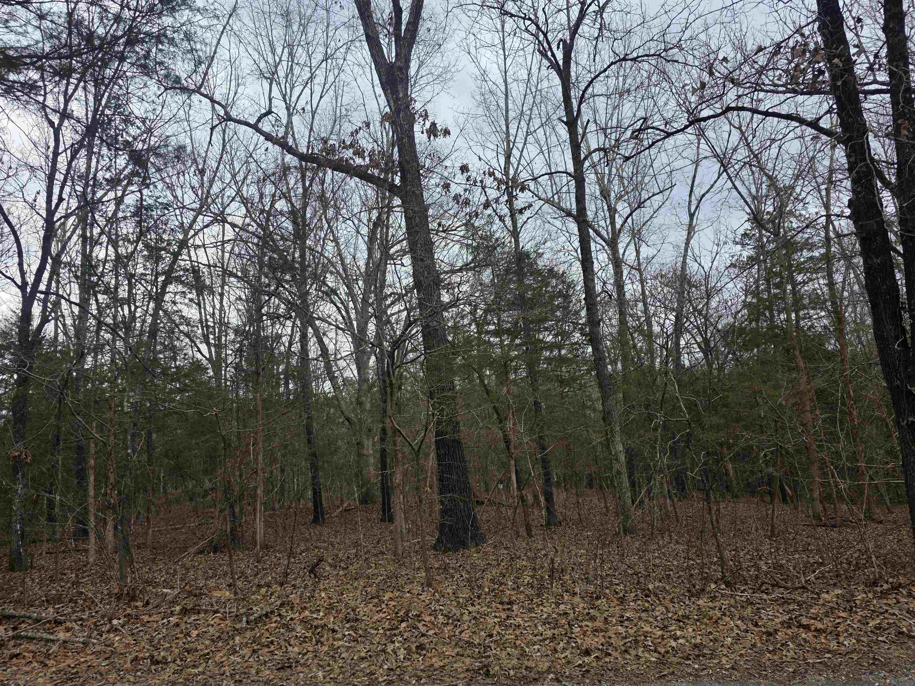 Photo 7 - Vacant Land for sale – 23 lots  Cherokee Village & Ozark Acres   Cherokee Village, AR