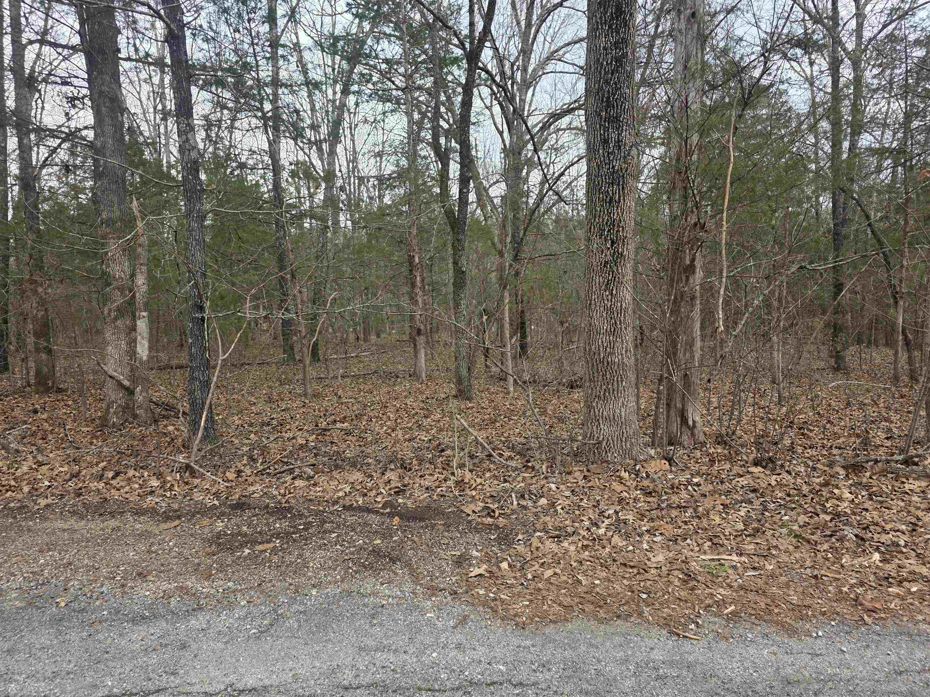 Photo 8 - Vacant Land for sale – 23 lots  Cherokee Village & Ozark Acres   Cherokee Village, AR