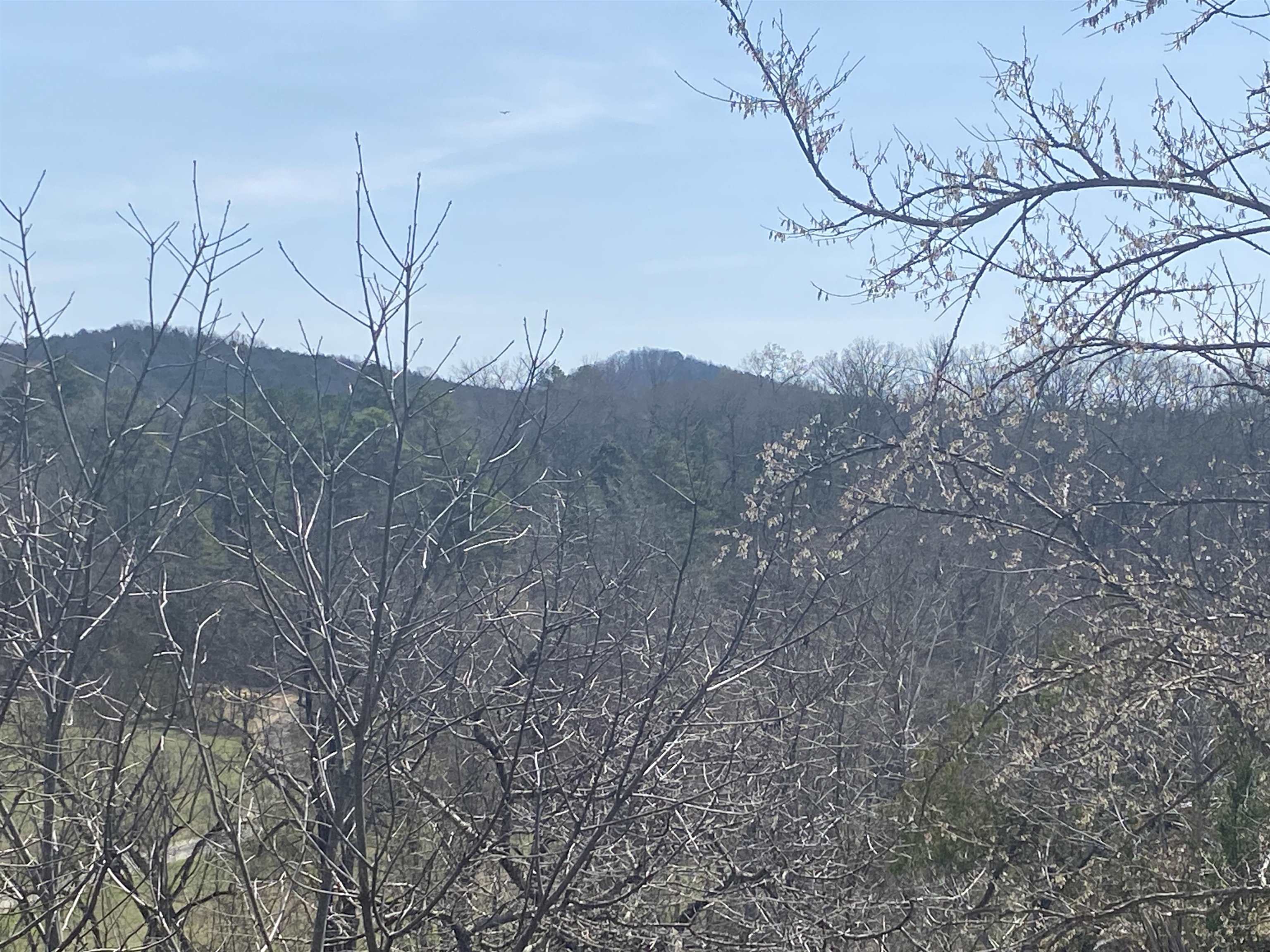 Photo 16 - Vacant Land for sale – 001 N Boswell Road   Calico Rock, AR