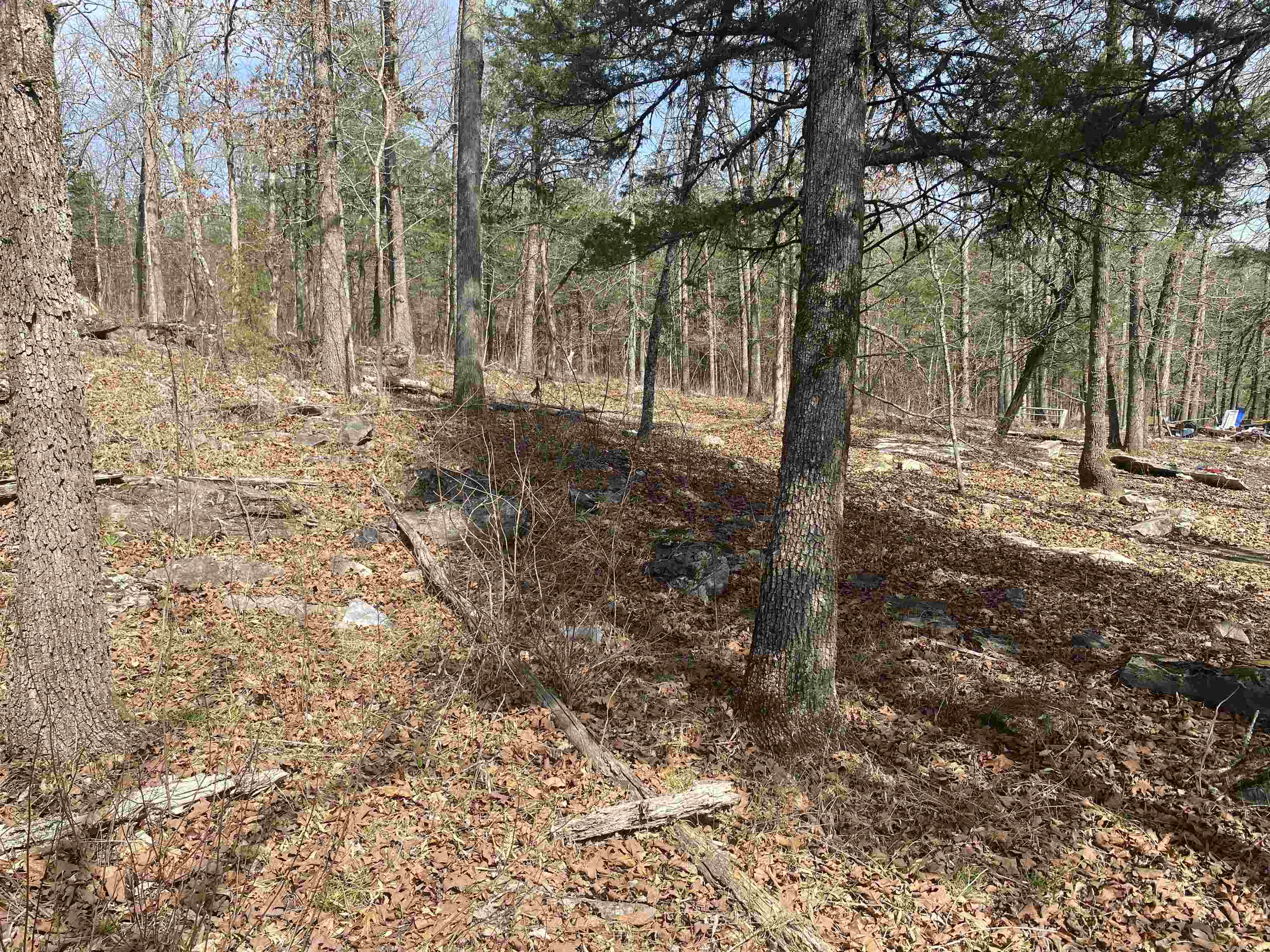 Photo 17 - Vacant Land for sale – 001 N Boswell Road   Calico Rock, AR