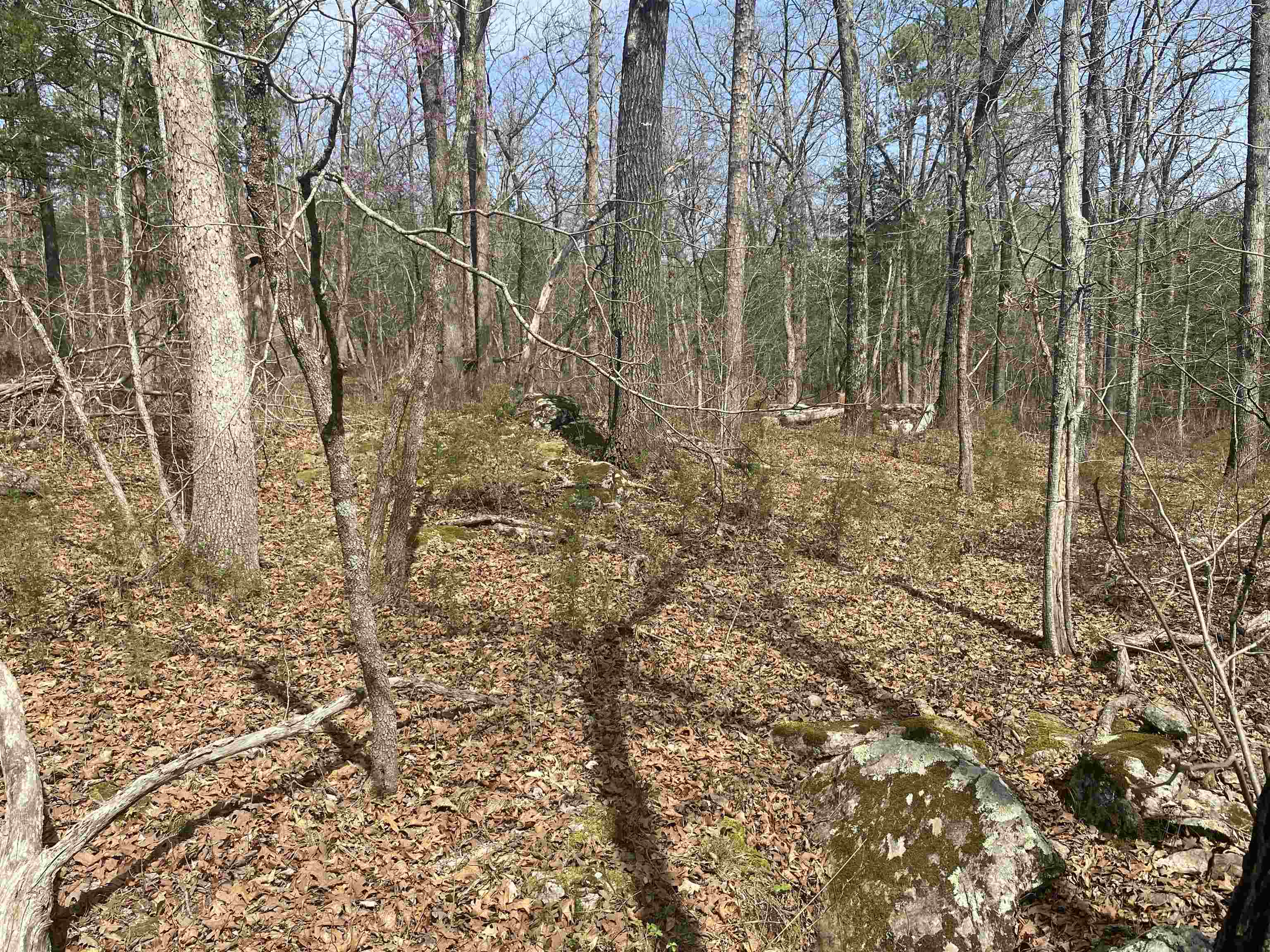 Photo 19 - Vacant Land for sale – 001 N Boswell Road   Calico Rock, AR