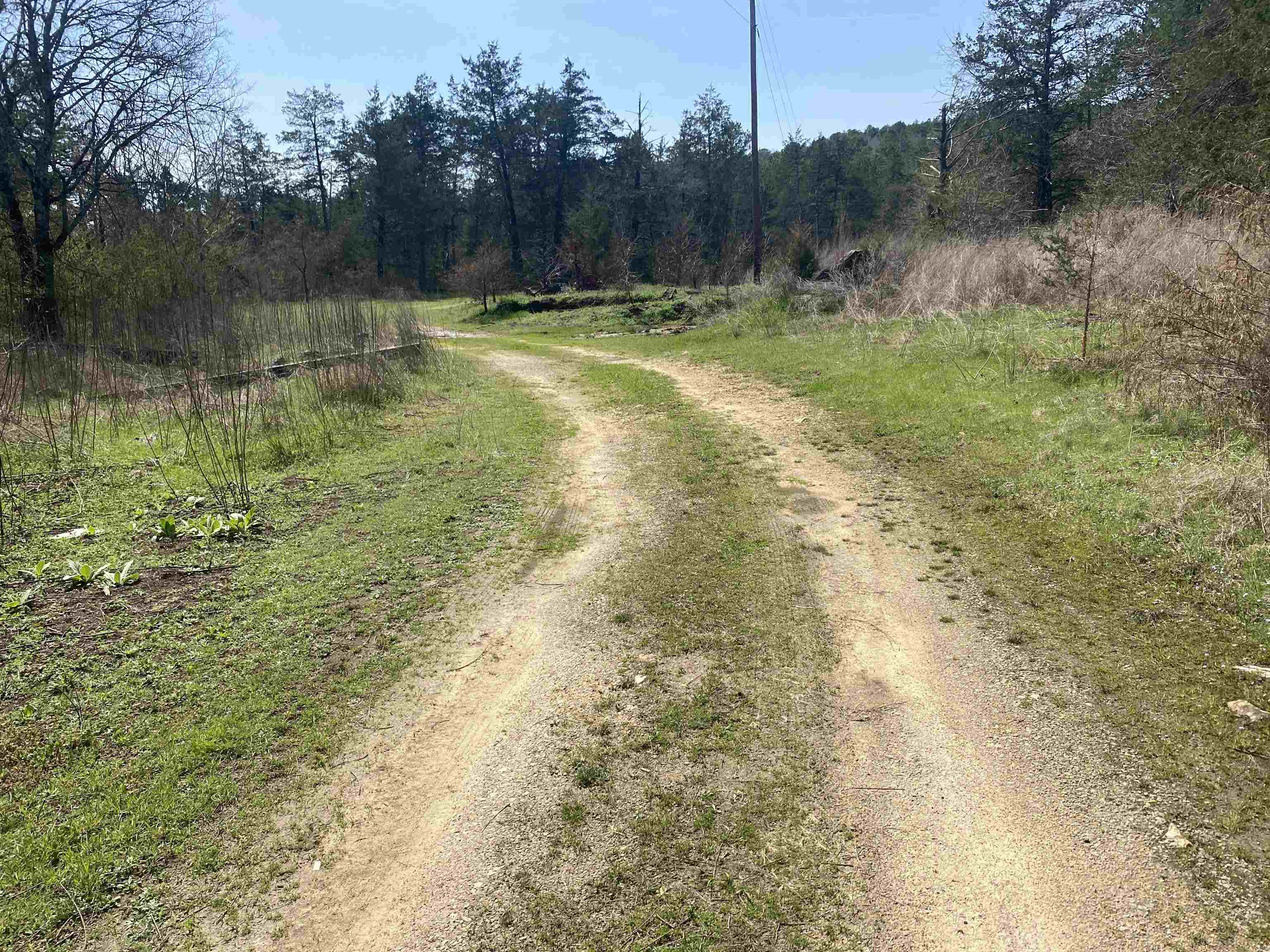 Photo 24 - Vacant Land for sale – 001 N Boswell Road   Calico Rock, AR
