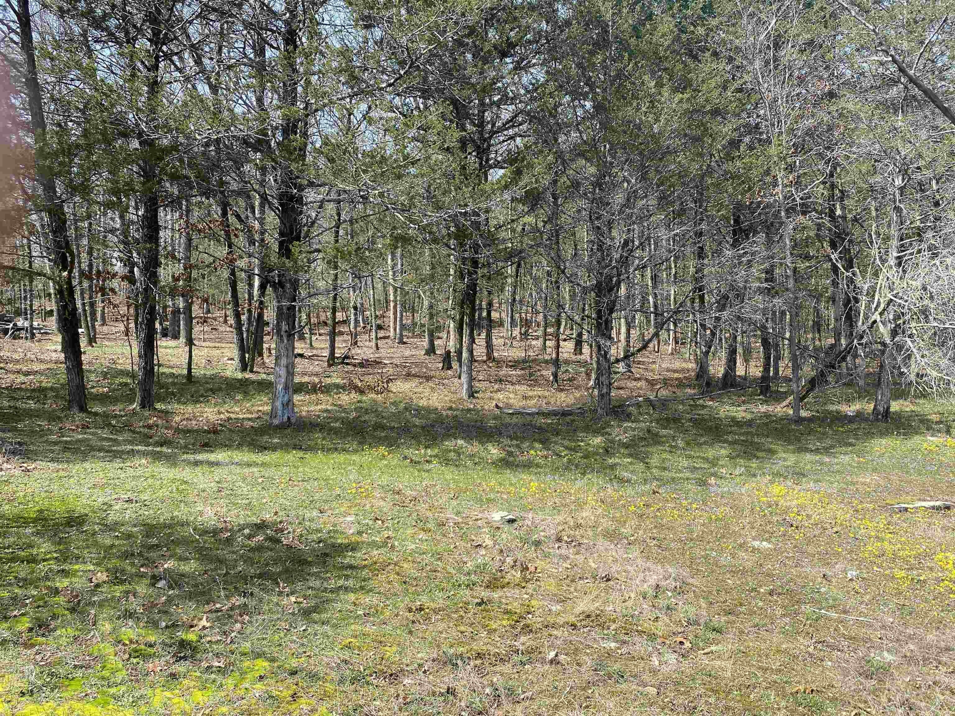 Photo 27 - Vacant Land for sale – 001 N Boswell Road   Calico Rock, AR