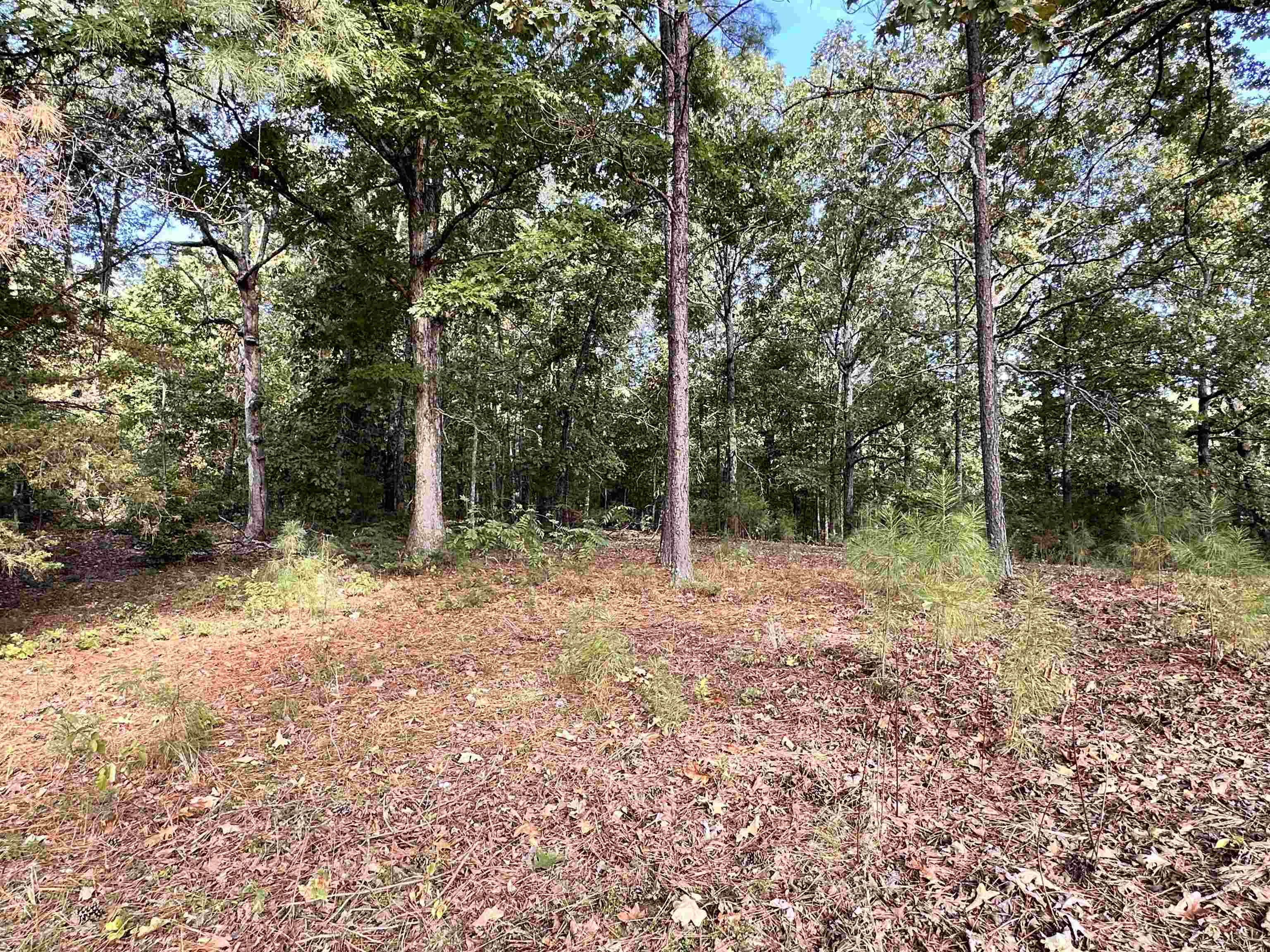 Photo 28 - Residential for sale – 106  Edna   Highland, AR