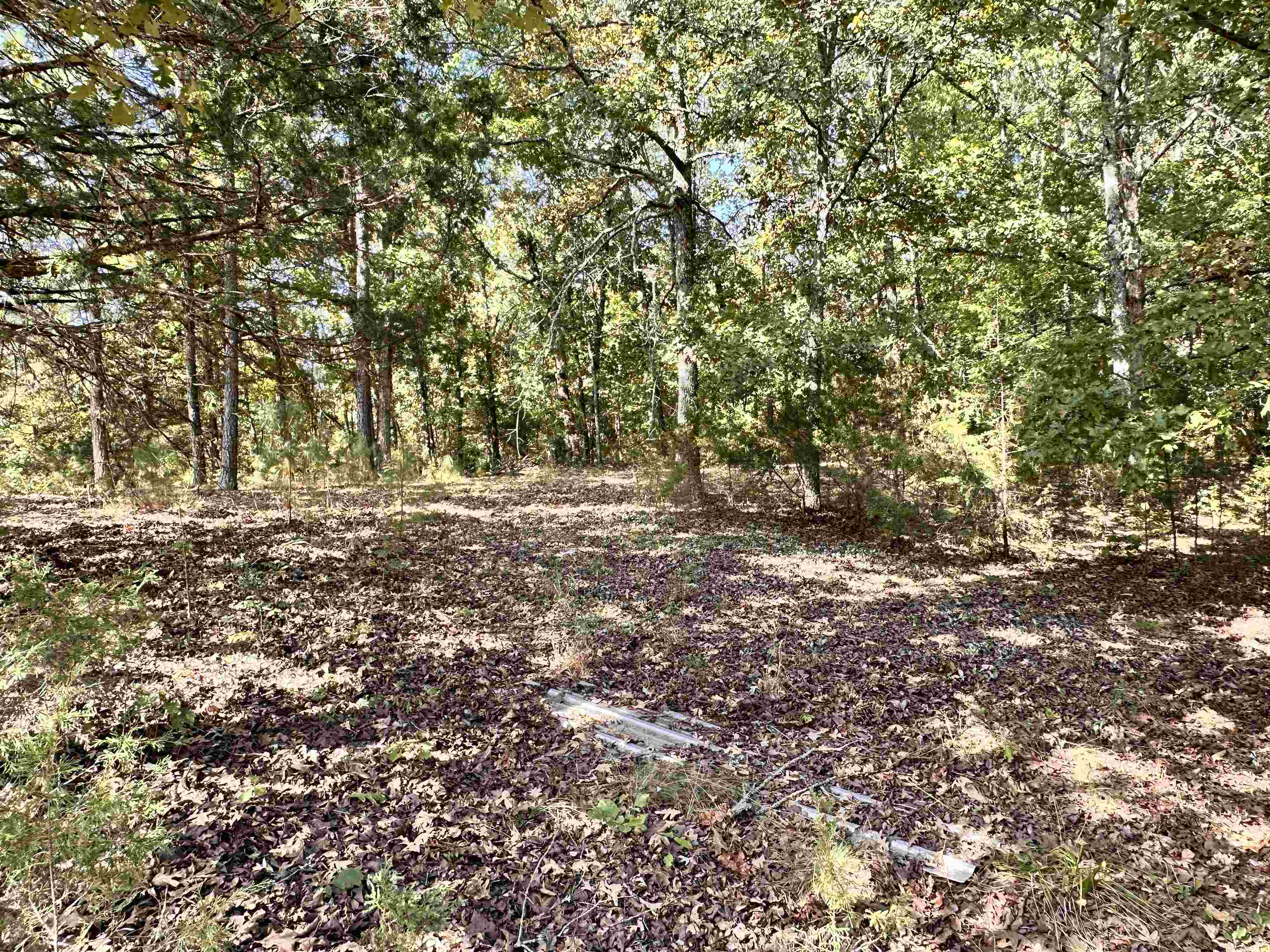 Photo 4 - Residential for sale – 106  Edna   Highland, AR