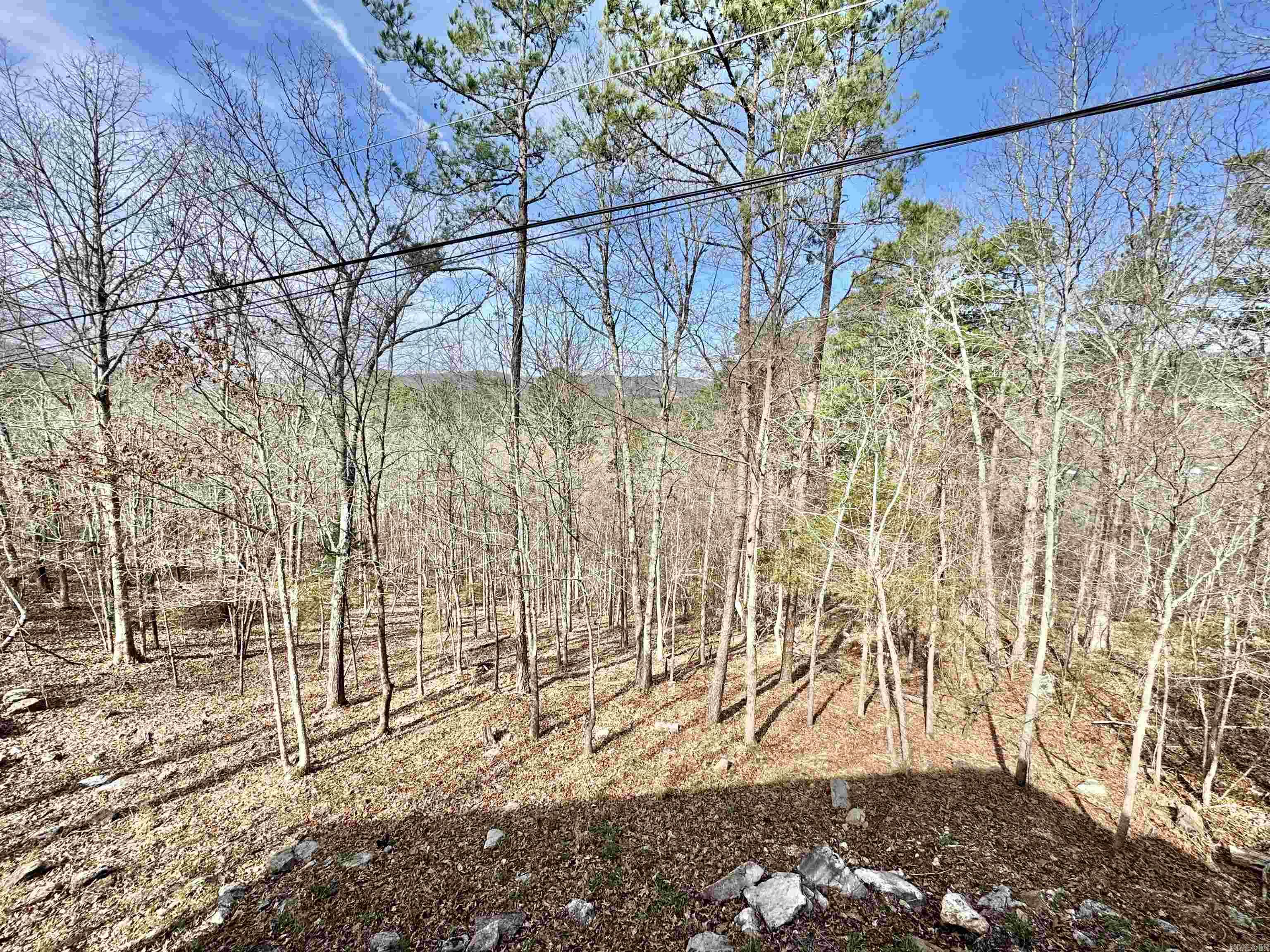 Photo 18 - Residential for sale – 58  Sylamore Vista   Mountain View, AR