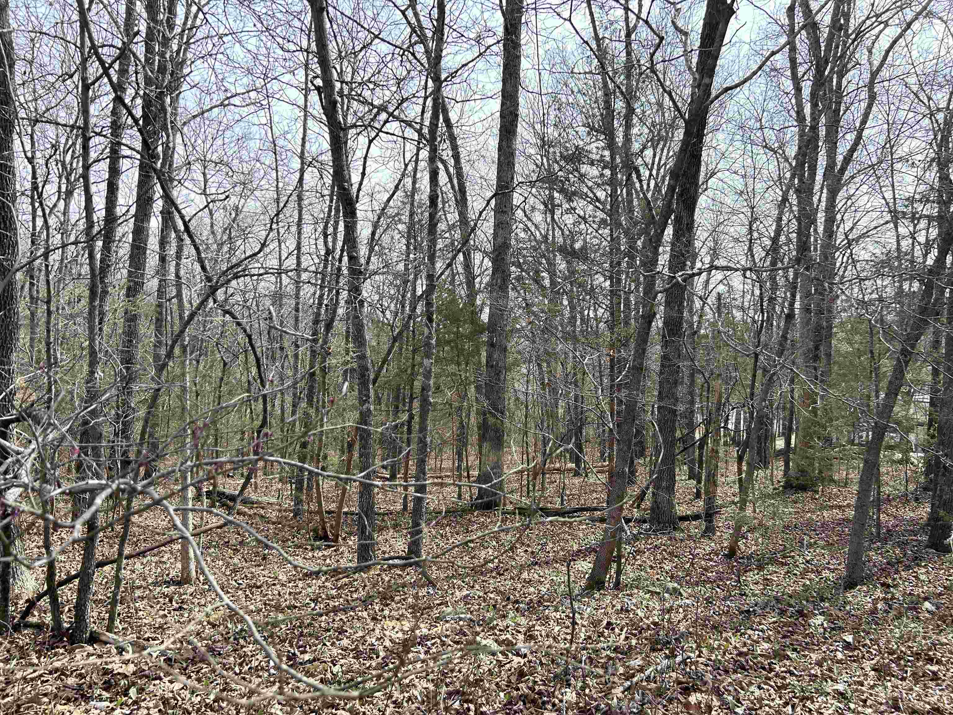 Photo 2 - Vacant Land for sale – TBD  Giles   Hardy, AR