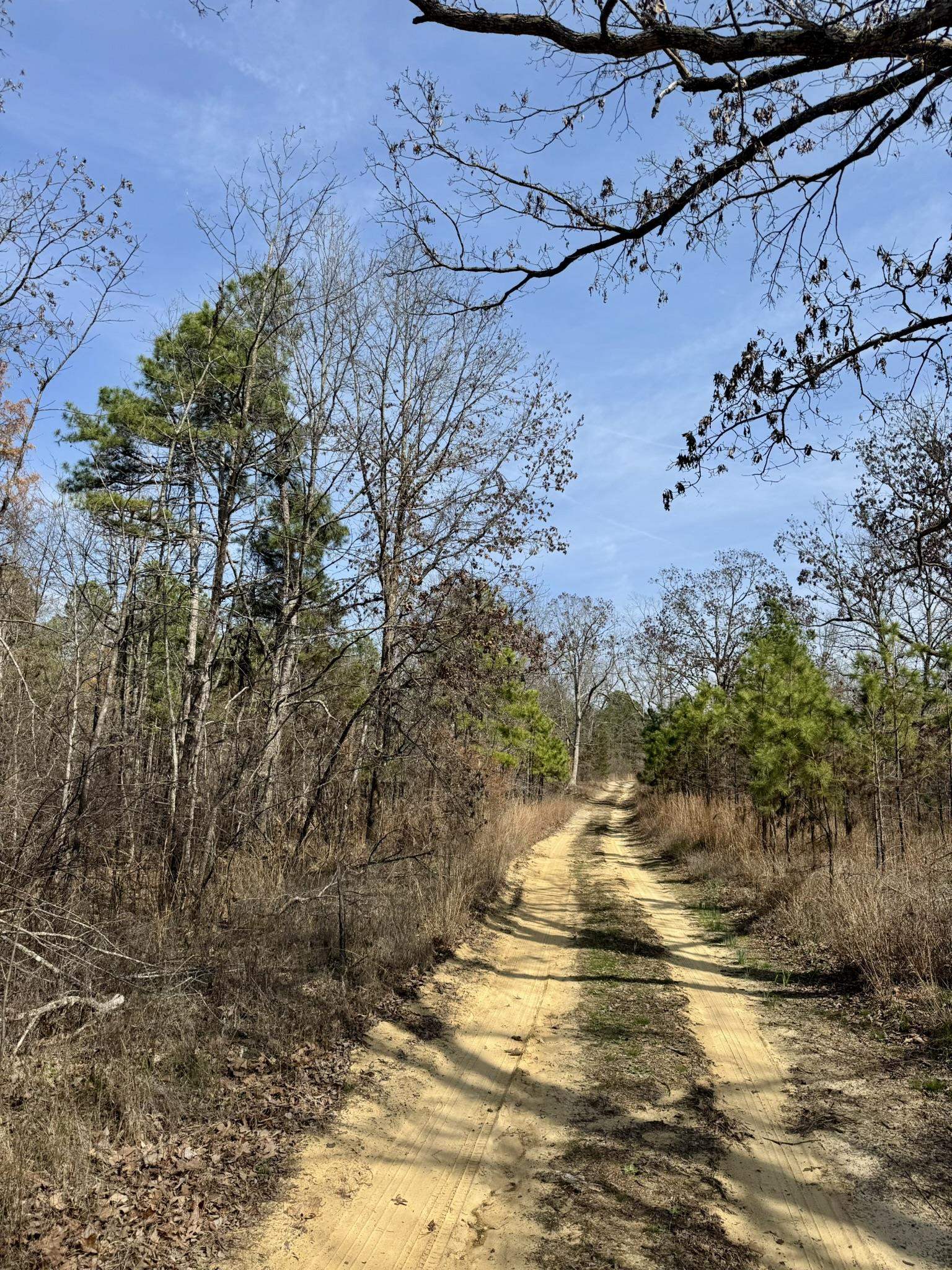 Photo 24 - Residential for sale – 300  Parker   Oxford, AR