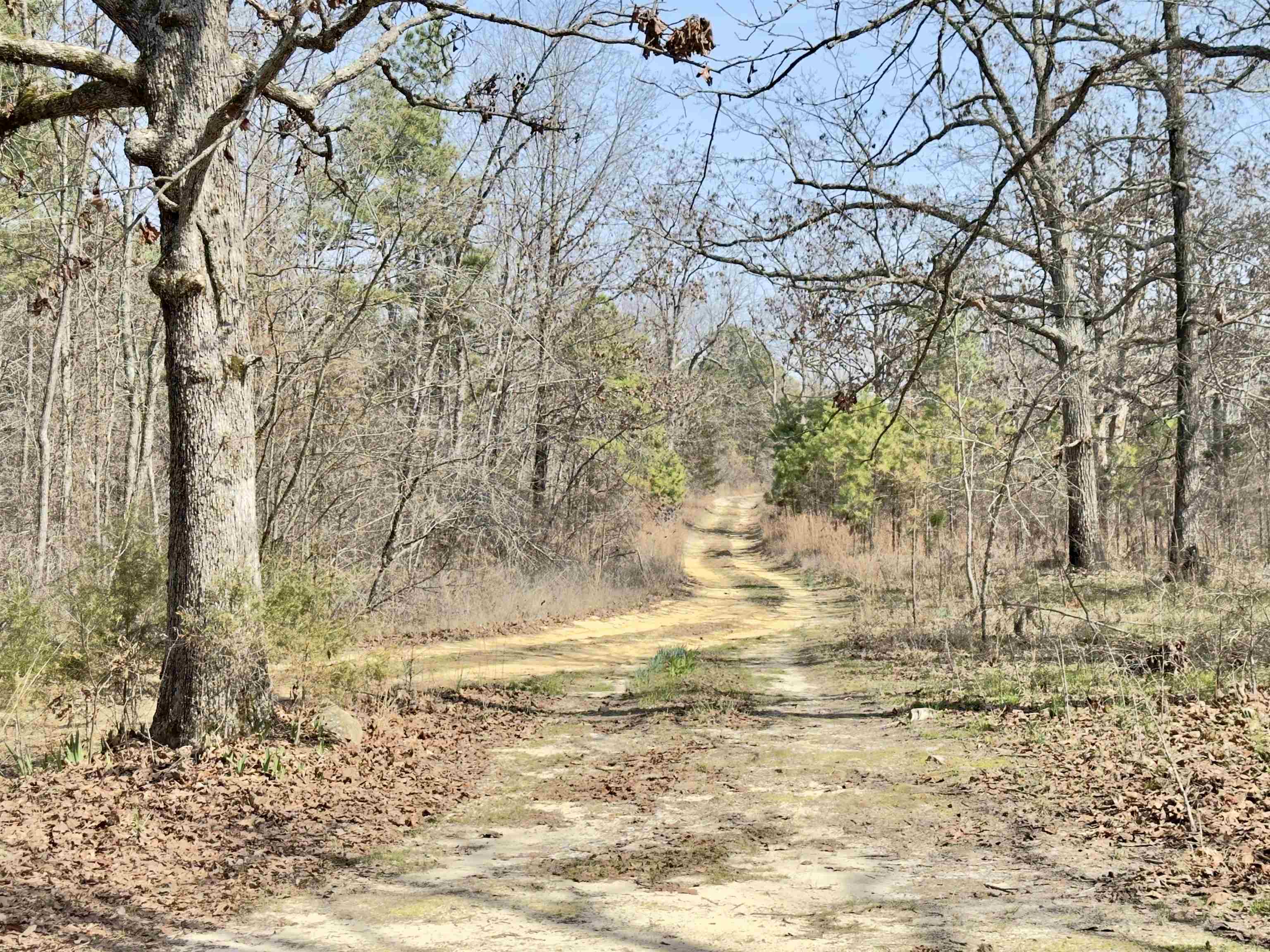 Photo 27 - Residential for sale – 300  Parker   Oxford, AR