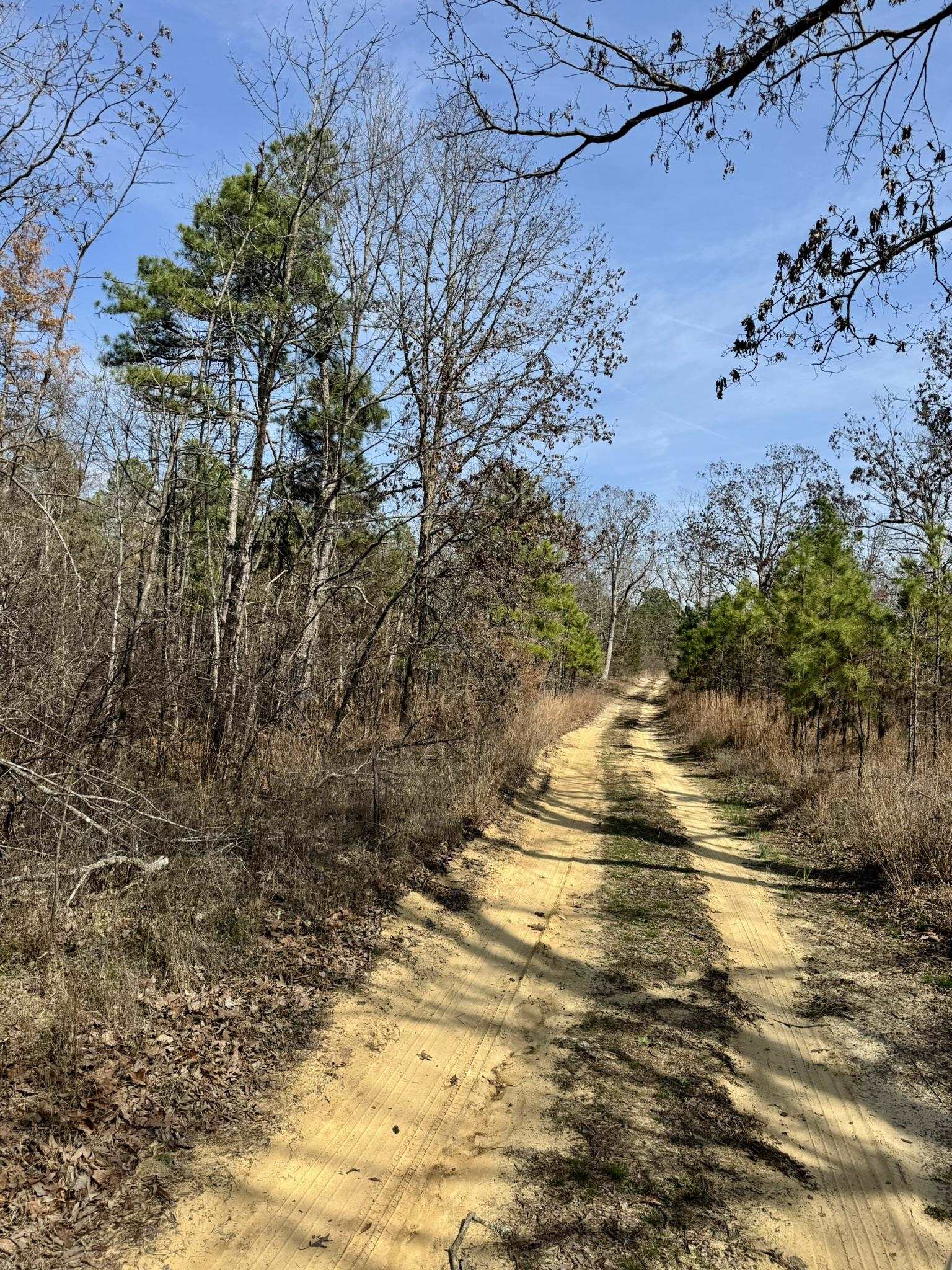 Photo 28 - Residential for sale – 300  Parker   Oxford, AR