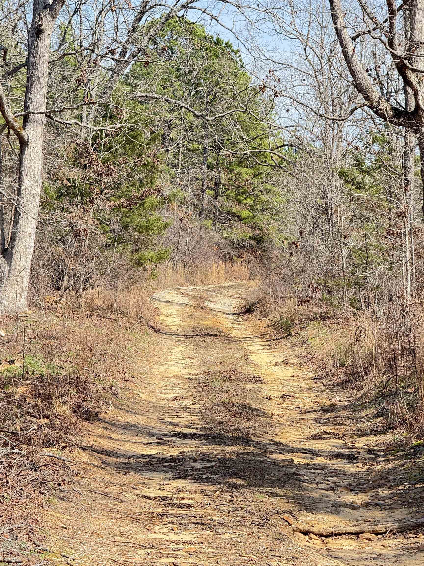 Photo 5 - Residential for sale – 300  Parker   Oxford, AR