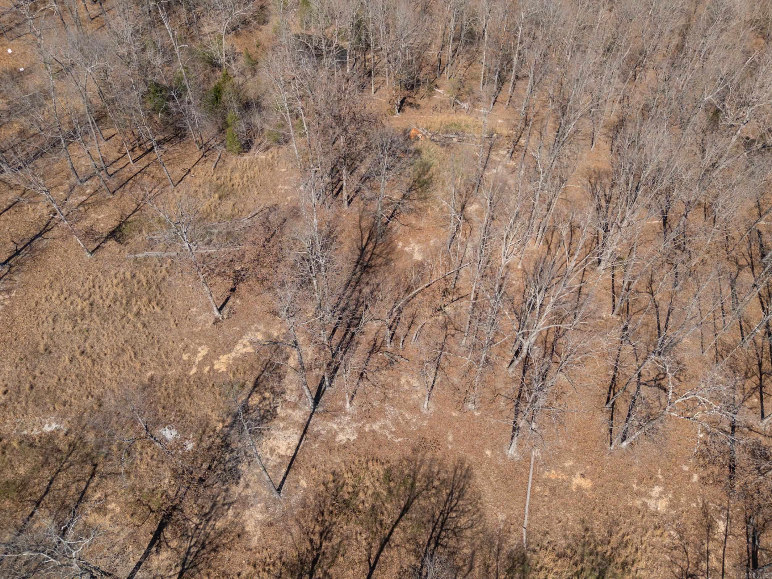 Photo 20 - Vacant Land for sale – Lot 44 & 45  Hwy 62 East   Gepp, AR