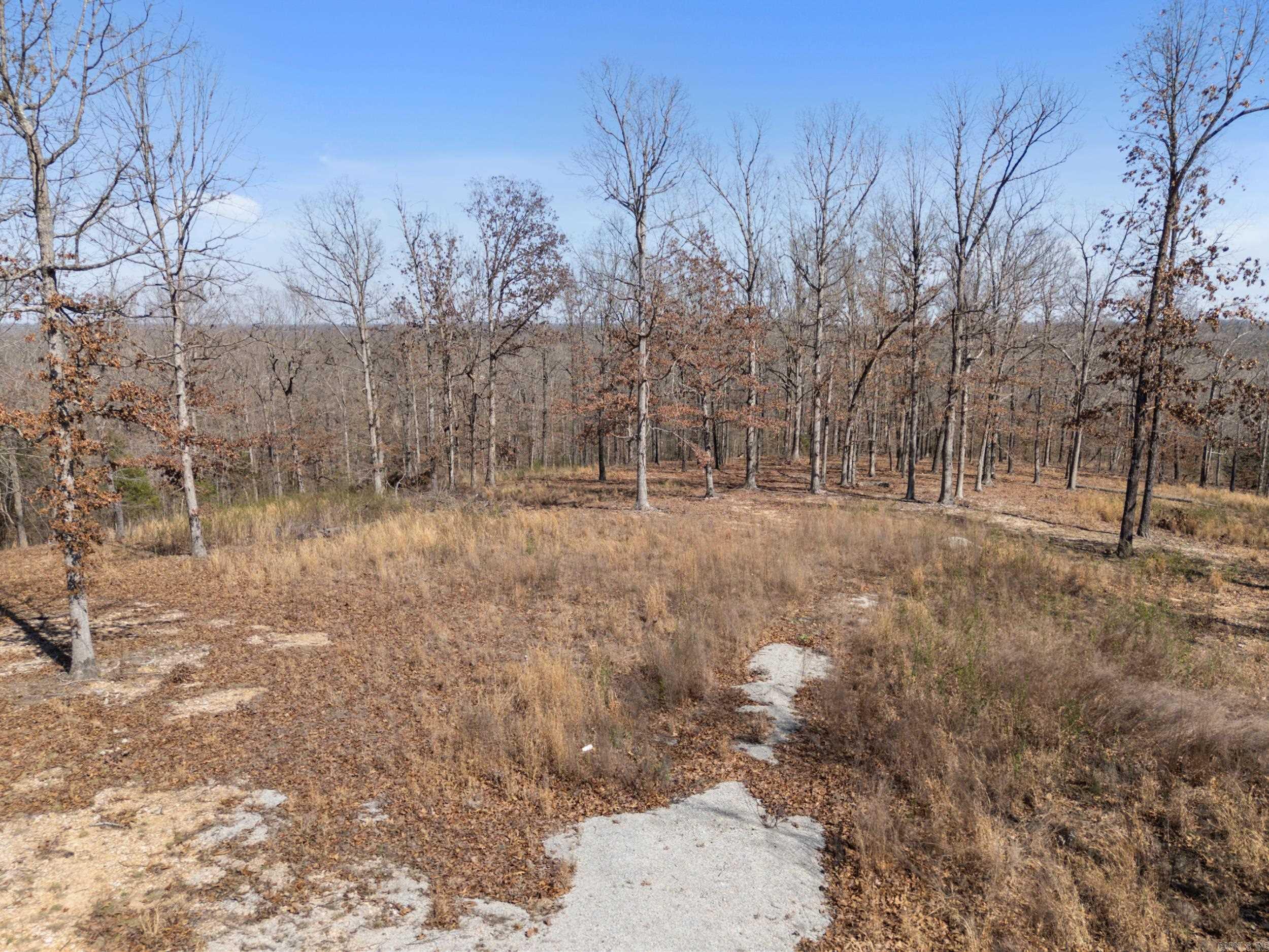 Photo 21 - Vacant Land for sale – Lot 44 & 45  Hwy 62 East   Gepp, AR