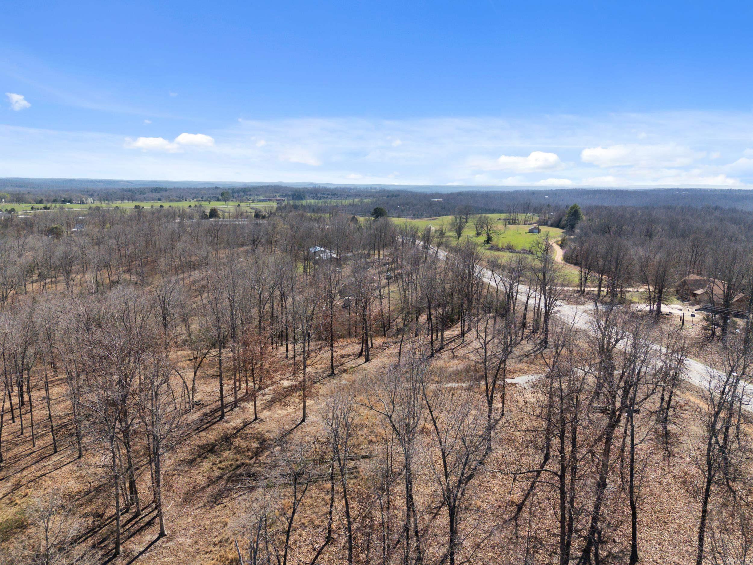 Photo 24 - Vacant Land for sale – Lot 44 & 45  Hwy 62 East   Gepp, AR