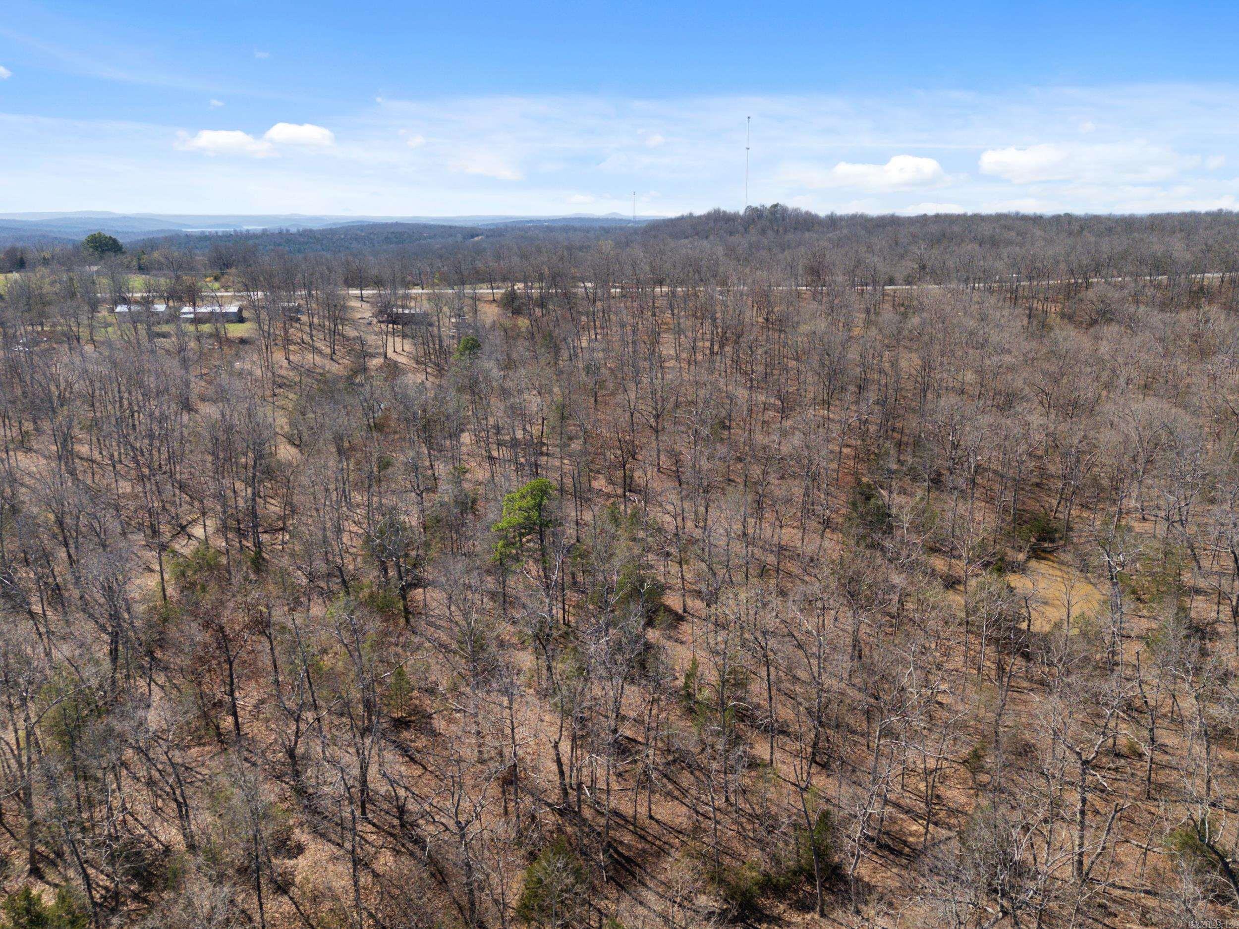 Photo 25 - Vacant Land for sale – Lot 44 & 45  Hwy 62 East   Gepp, AR