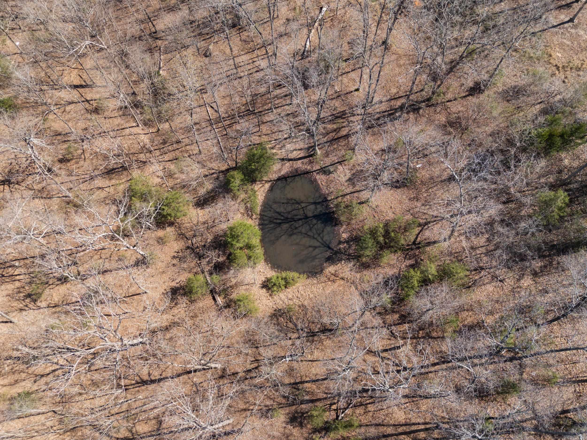 Photo 5 - Vacant Land for sale – Lot 44 & 45  Hwy 62 East   Gepp, AR