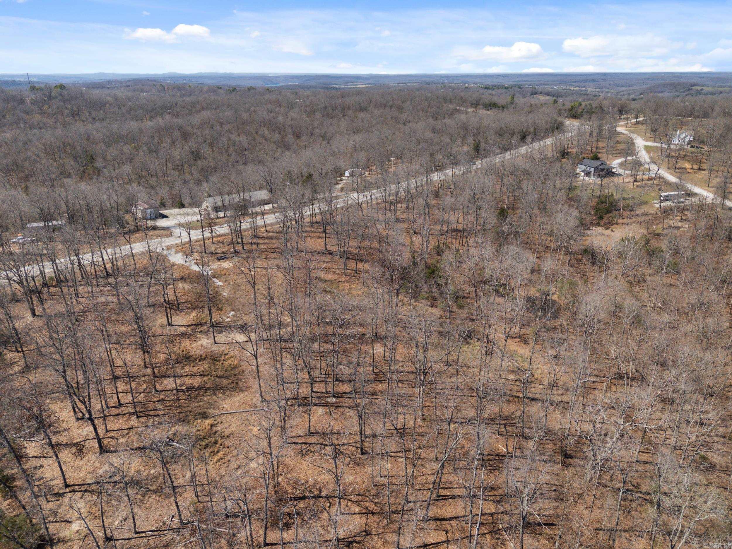 Photo 8 - Vacant Land for sale – Lot 44 & 45  Hwy 62 East   Gepp, AR