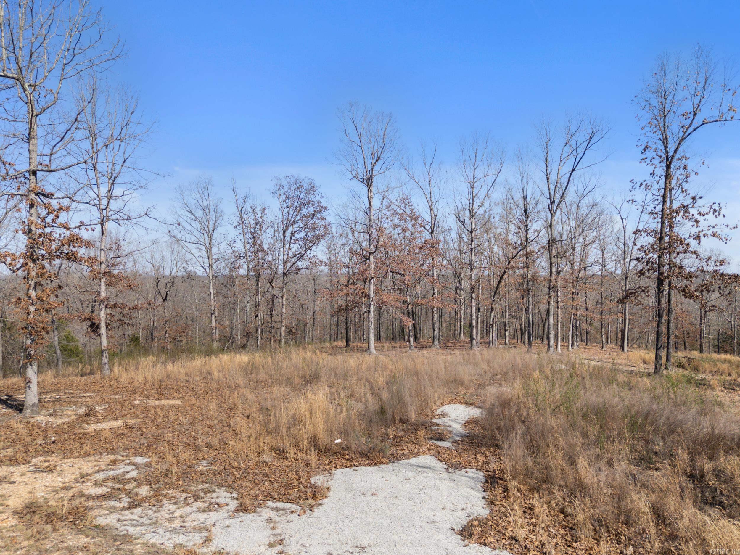 Photo 9 - Vacant Land for sale – Lot 44 & 45  Hwy 62 East   Gepp, AR