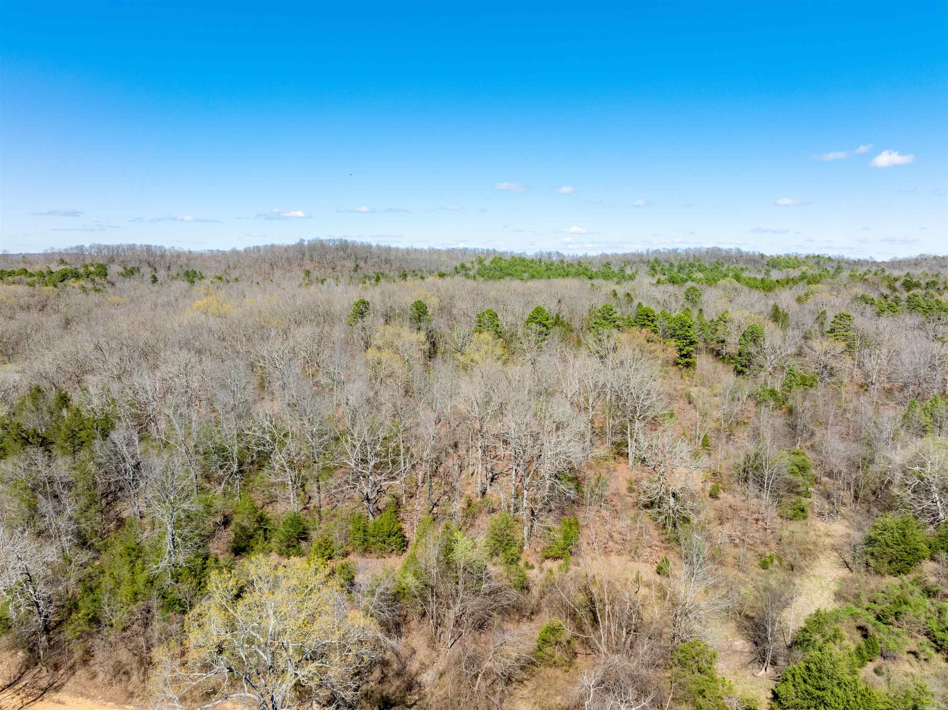 Photo 43 - Residential for sale – 651  Golden   Cave City, AR