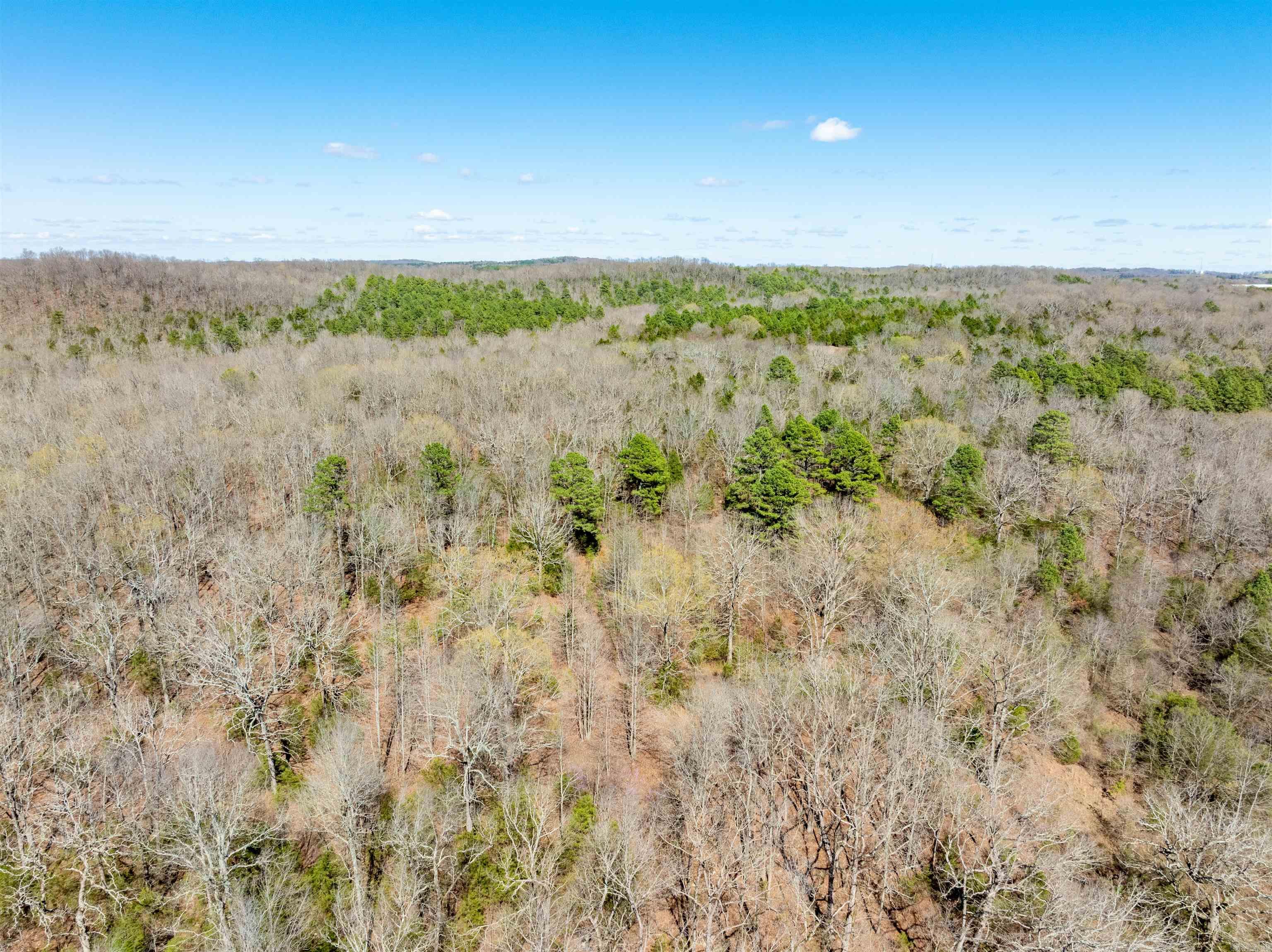 Photo 44 - Residential for sale – 651  Golden   Cave City, AR