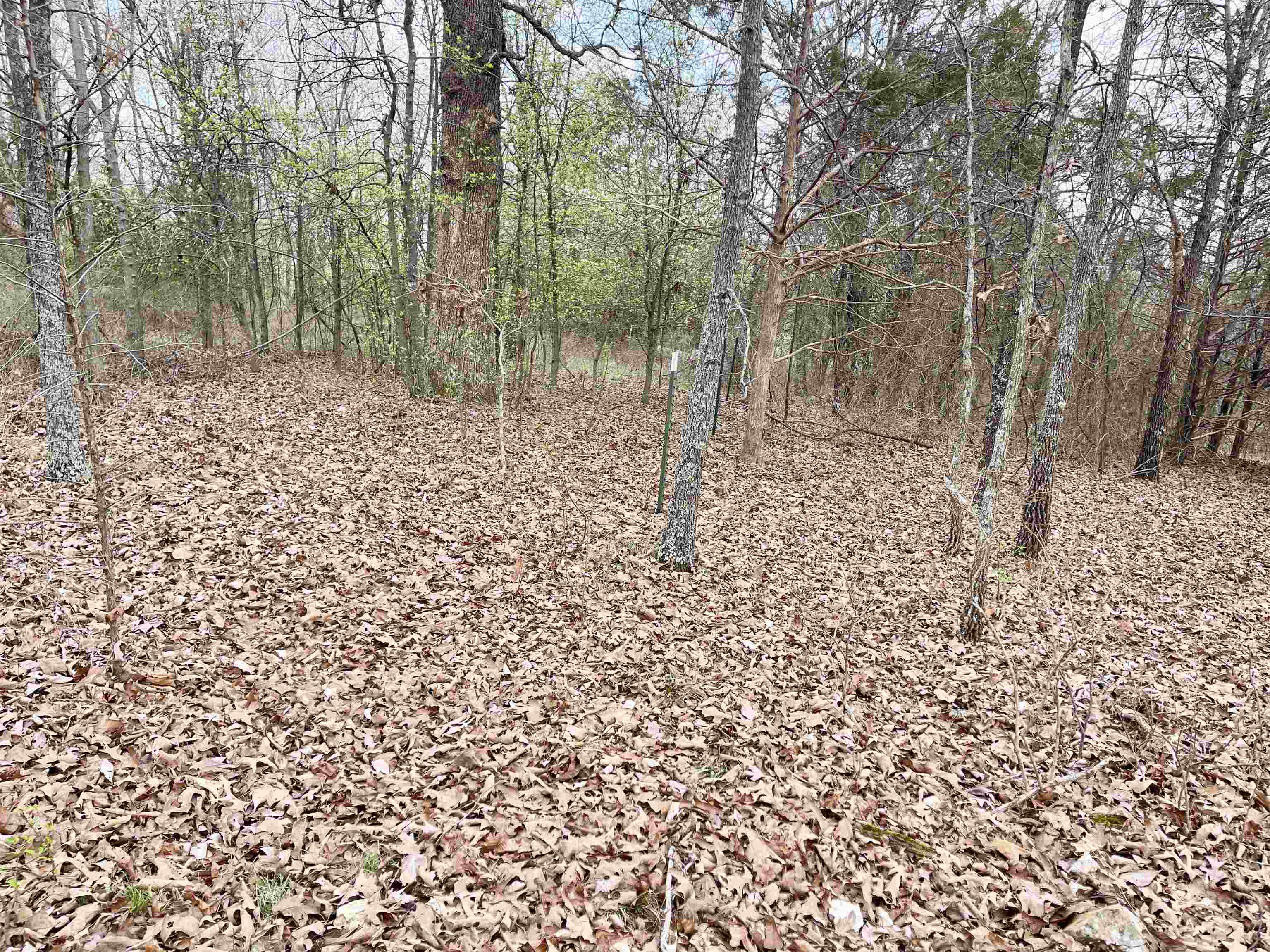 Vacant Land for sale – 0  62/412   Viola, AR
