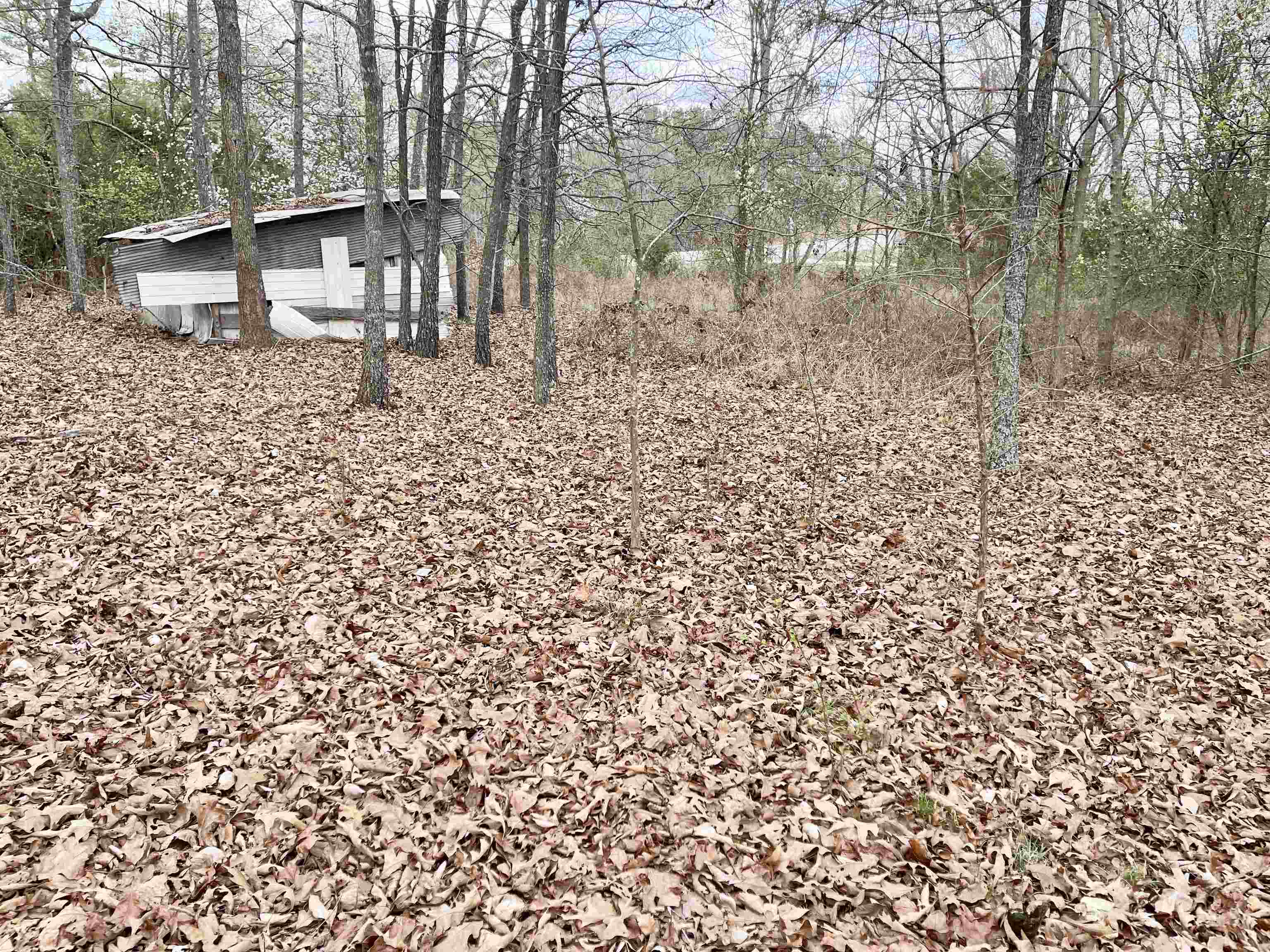 Photo 2 - Vacant Land for sale – 0  62/412   Viola, AR