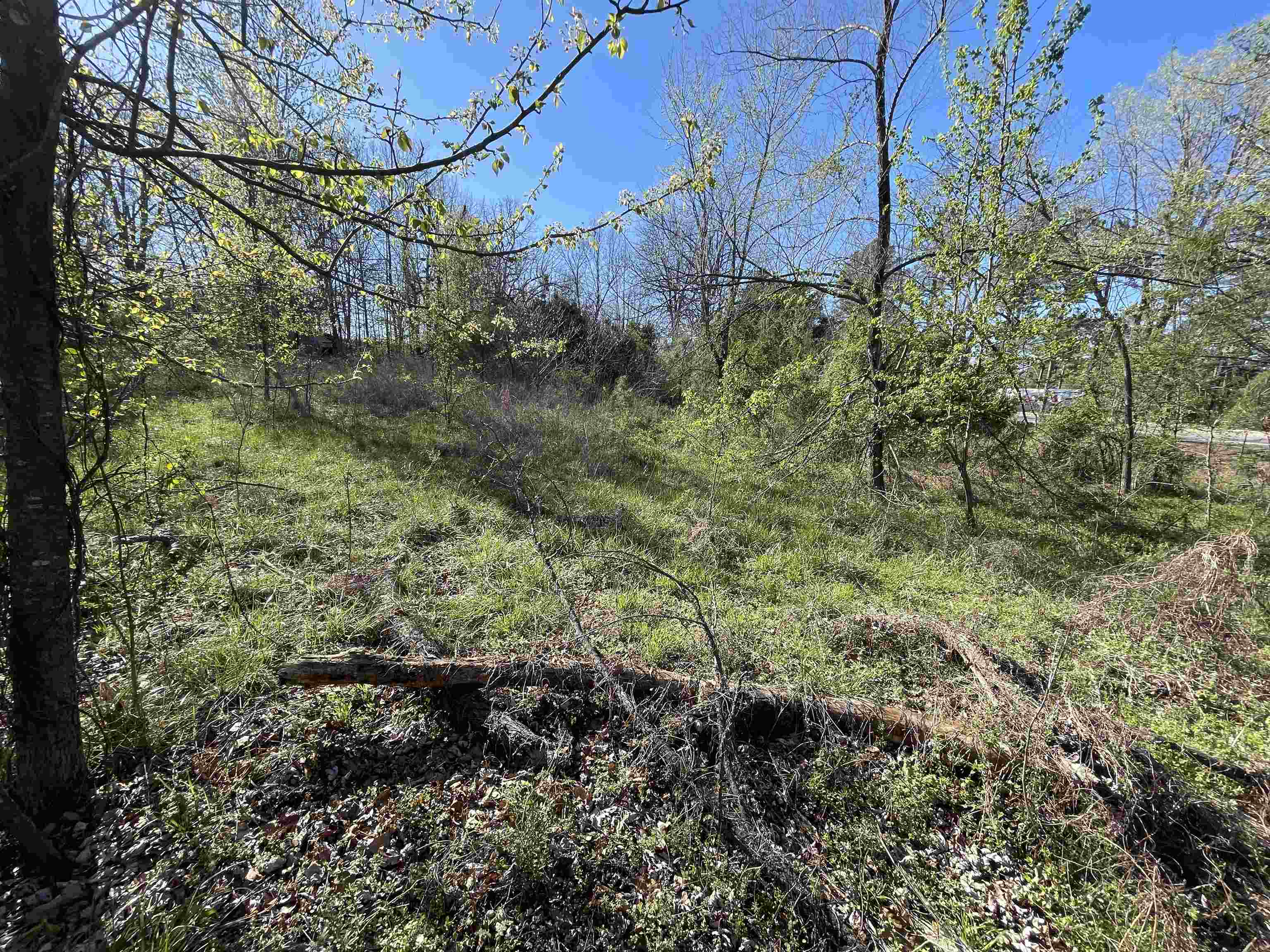 Photo 13 - Vacant Land for sale – 0  62/412   Viola, AR
