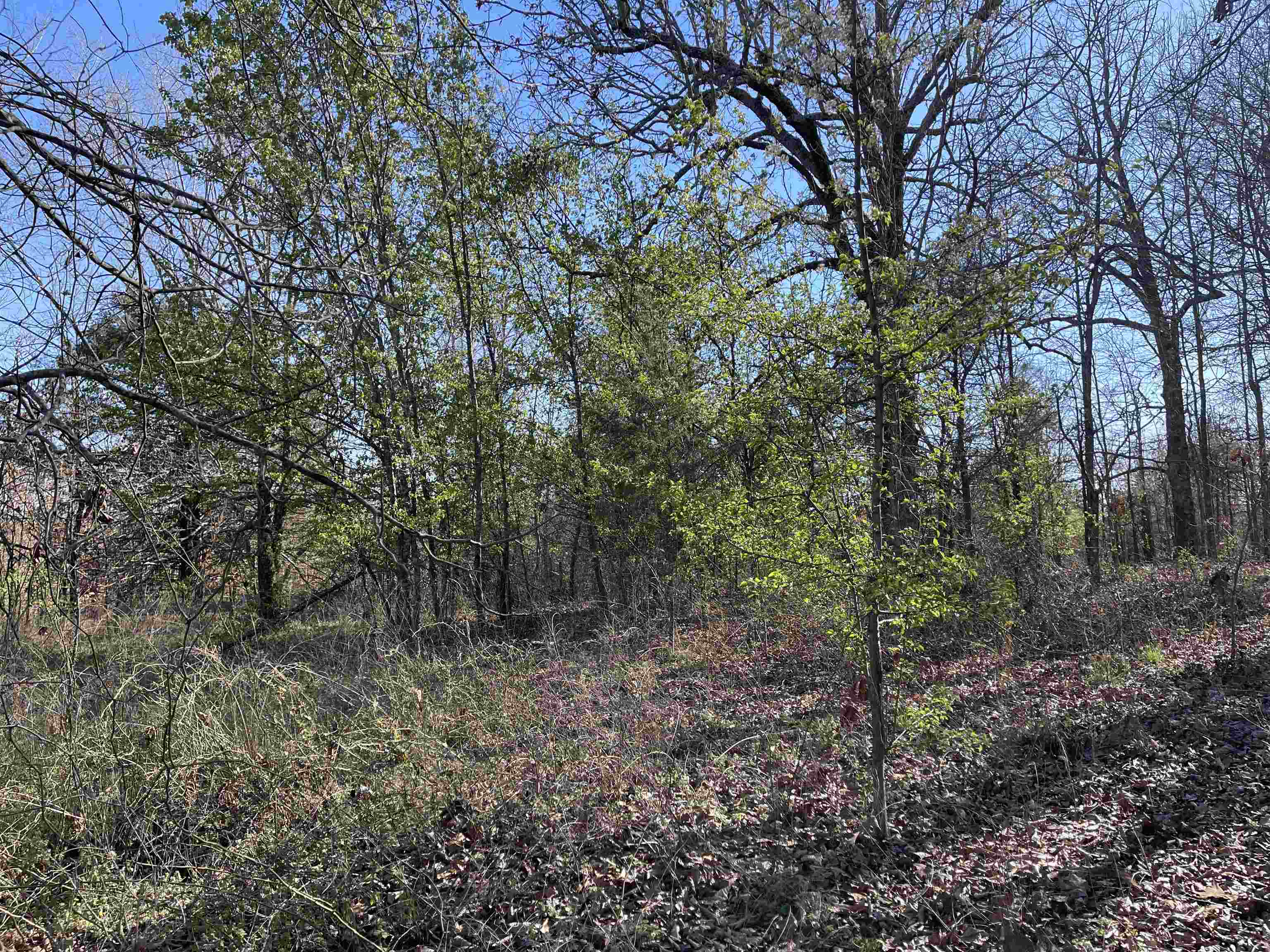 Photo 14 - Vacant Land for sale – 0  62/412   Viola, AR