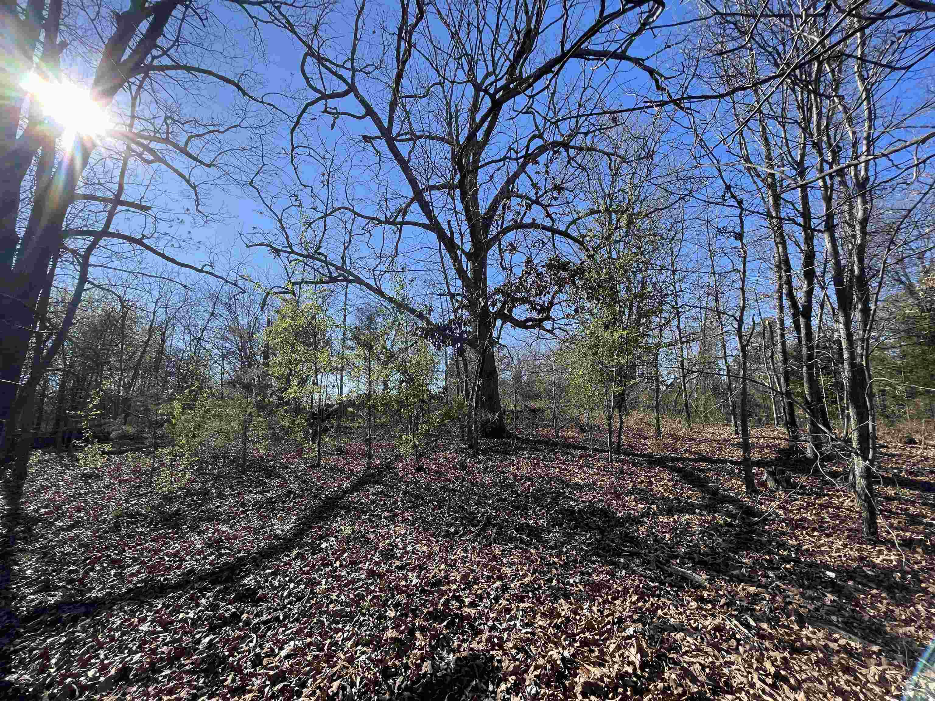 Photo 17 - Vacant Land for sale – 0  62/412   Viola, AR