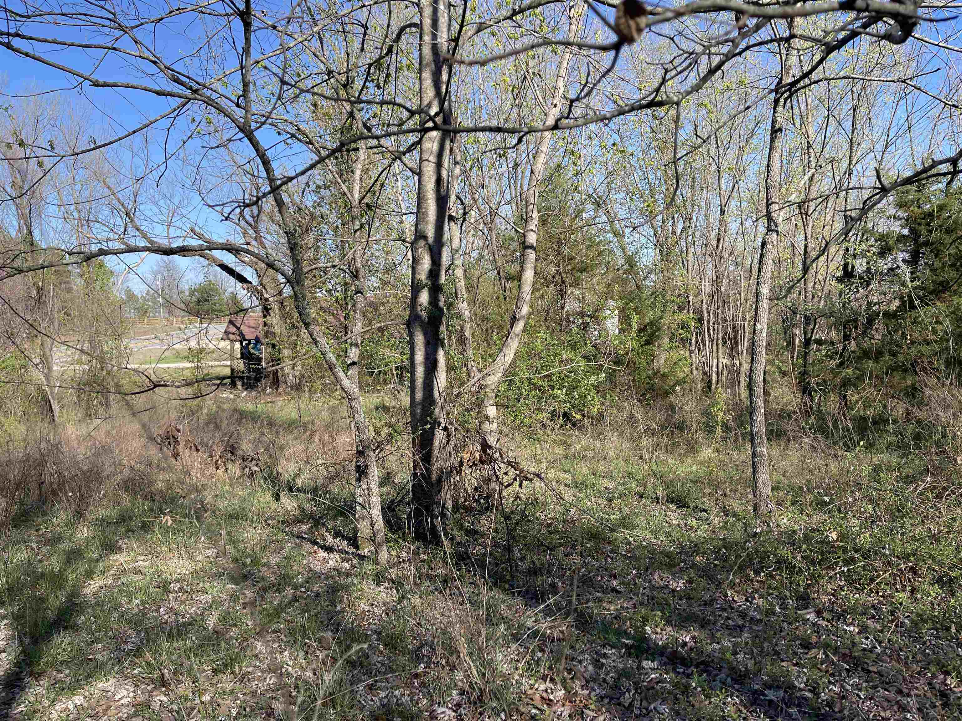 Photo 5 - Vacant Land for sale – 0  62/412   Viola, AR