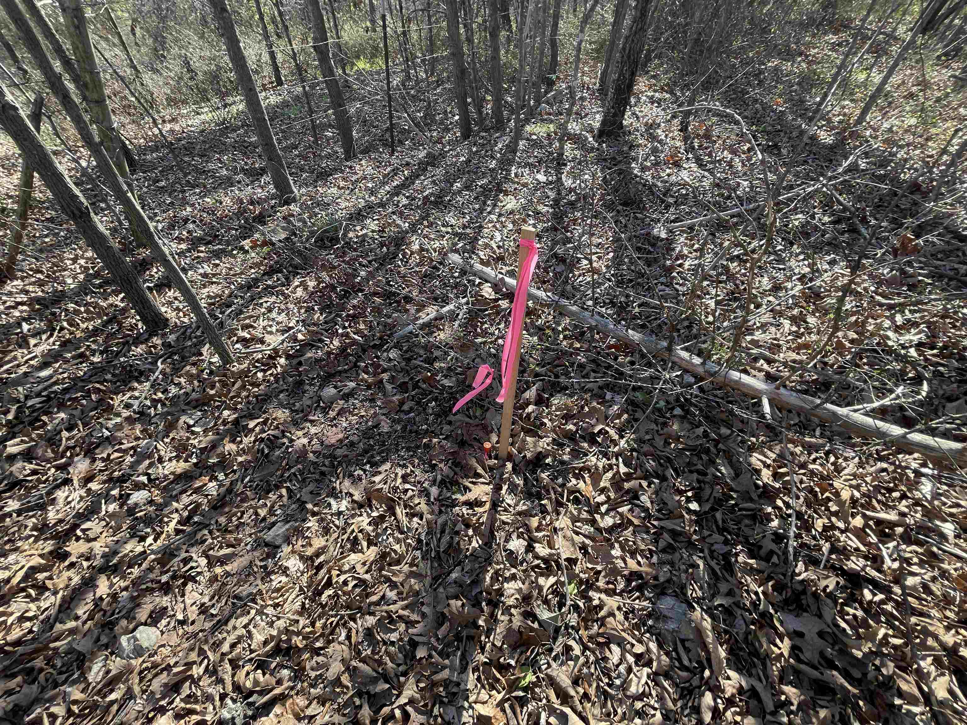 Photo 7 - Vacant Land for sale – 0  62/412   Viola, AR