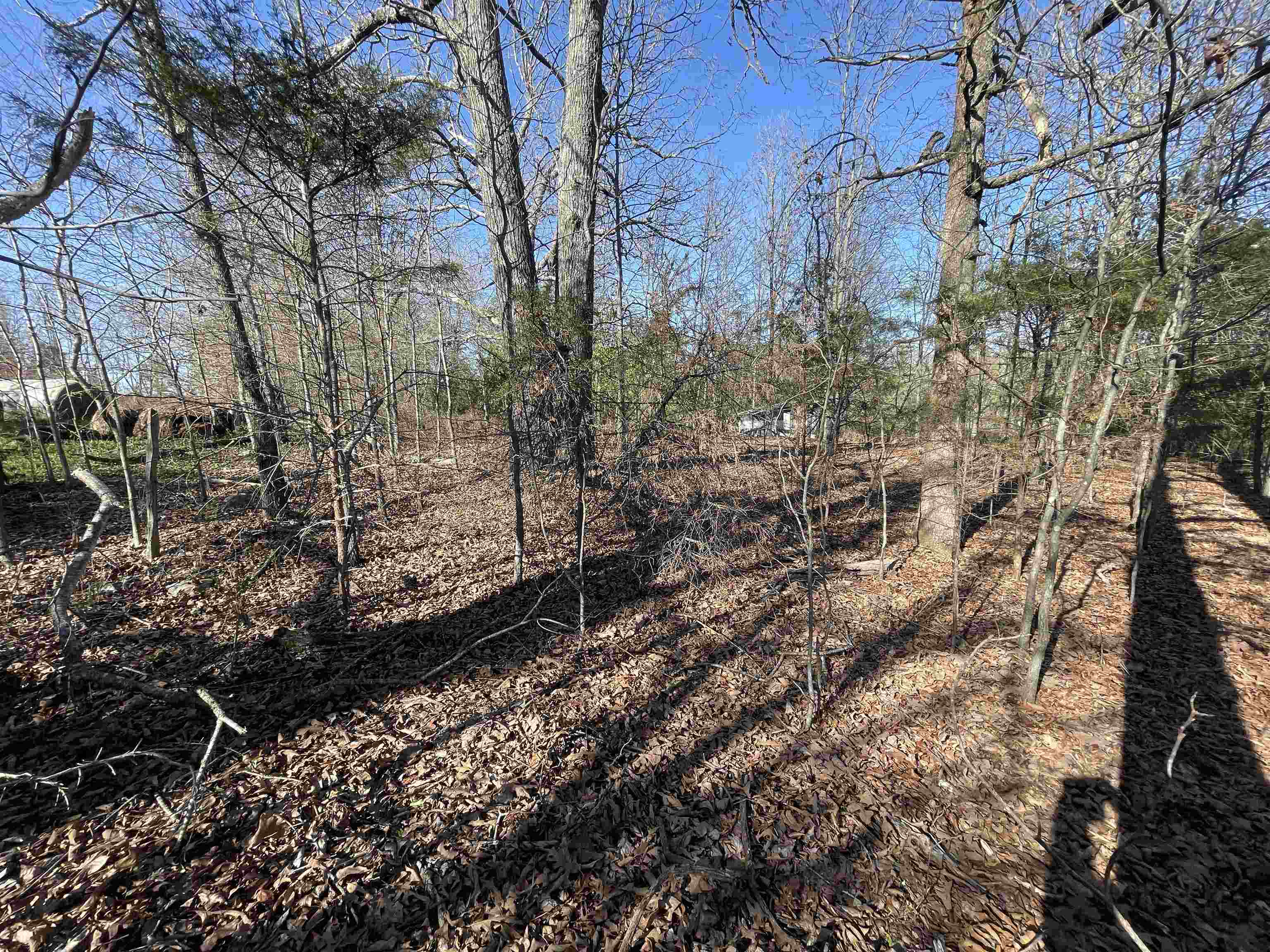 Photo 8 - Vacant Land for sale – 0  62/412   Viola, AR