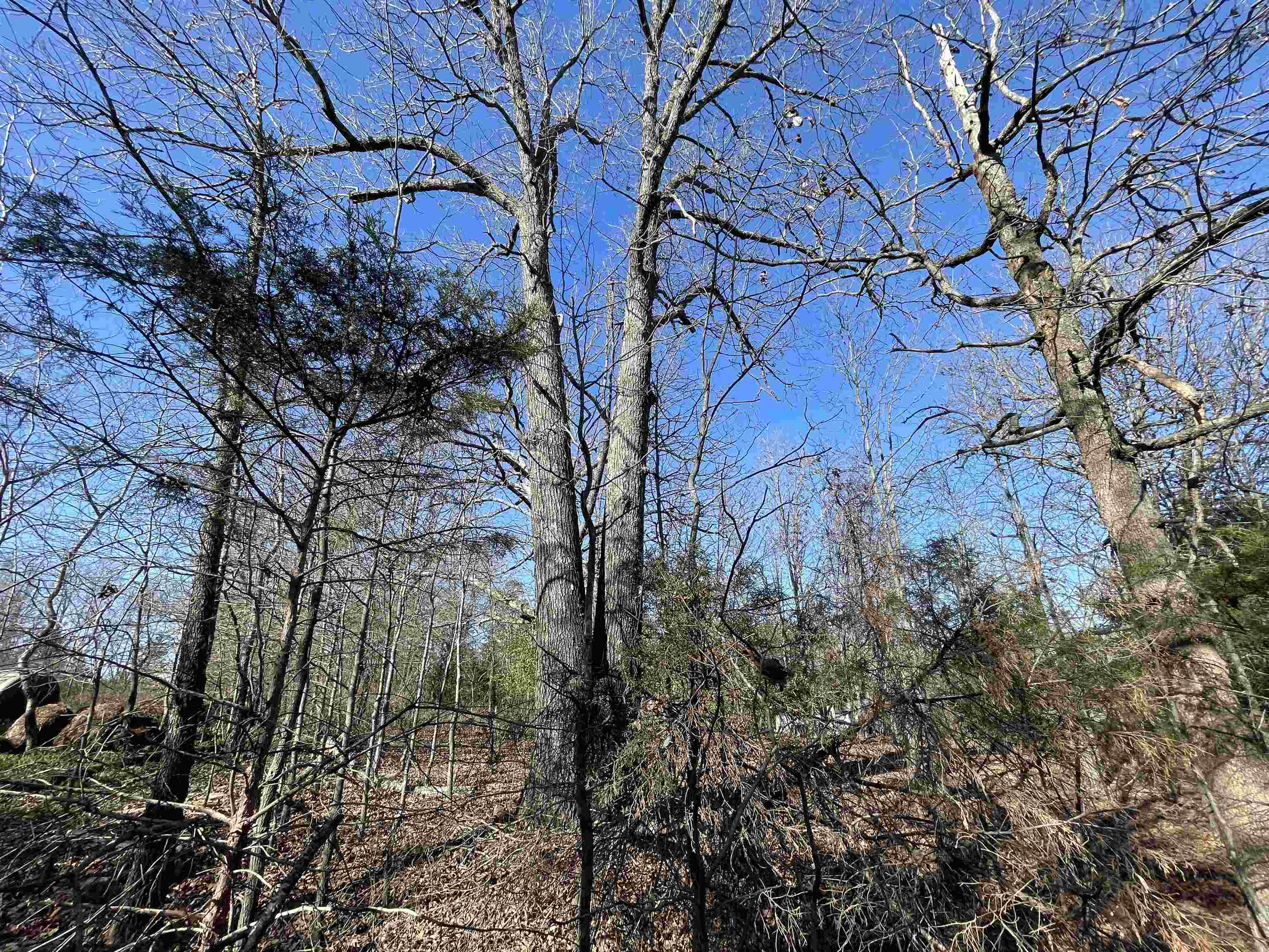 Photo 9 - Vacant Land for sale – 0  62/412   Viola, AR