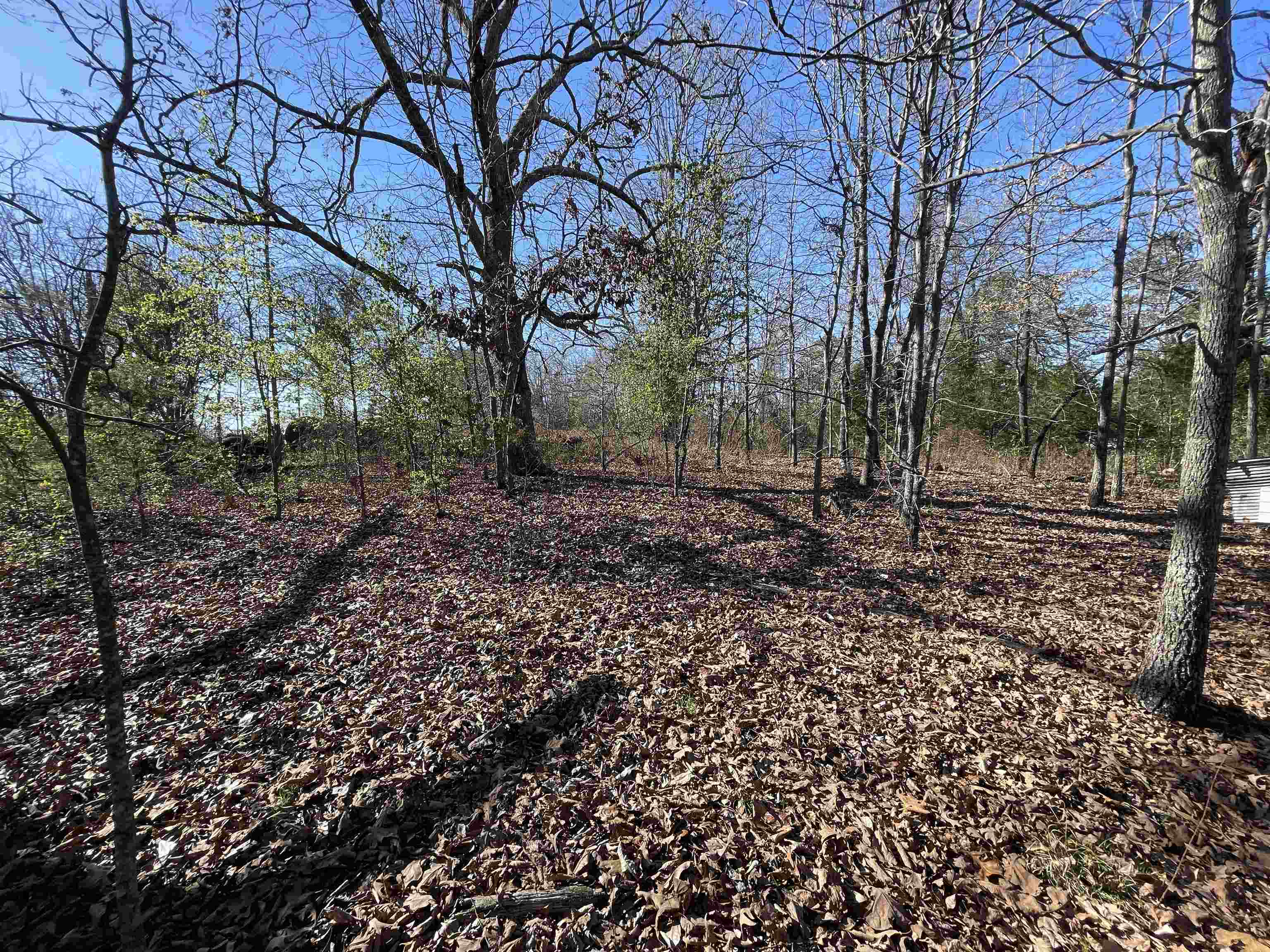 Photo 10 - Vacant Land for sale – 0  62/412   Viola, AR