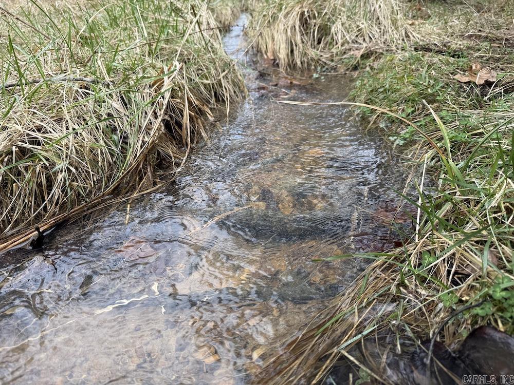 Photo 2 - Vacant Land for sale –   Red Bud Road   Sturkie, AR