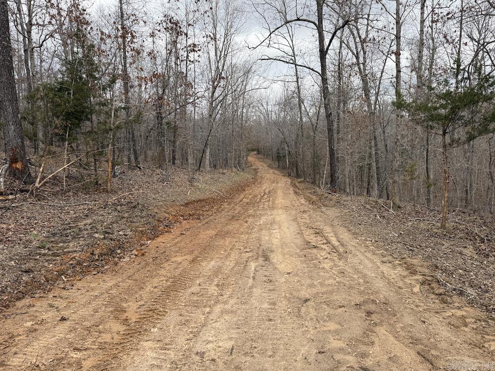 Photo 12 - Vacant Land for sale –   Red Bud Road   Sturkie, AR