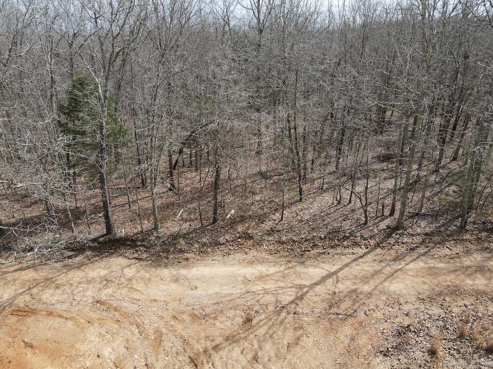 Photo 13 - Vacant Land for sale –   Red Bud Road   Sturkie, AR