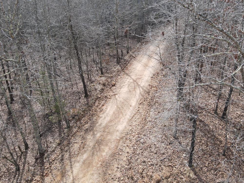 Photo 14 - Vacant Land for sale –   Red Bud Road   Sturkie, AR