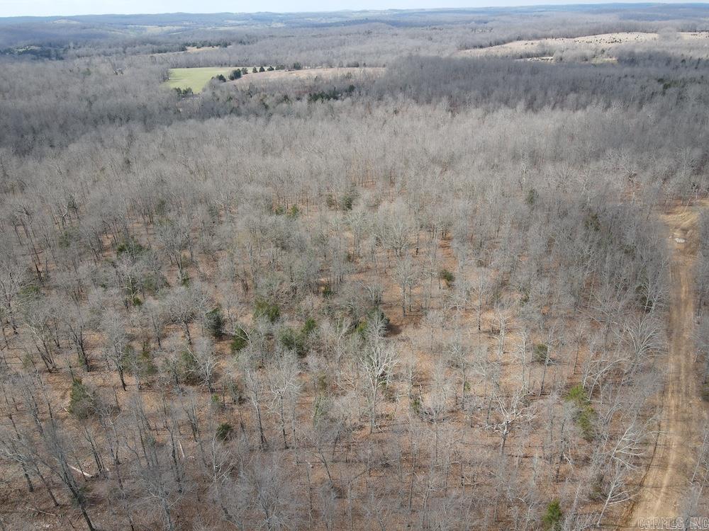 Photo 19 - Vacant Land for sale –   Red Bud Road   Sturkie, AR