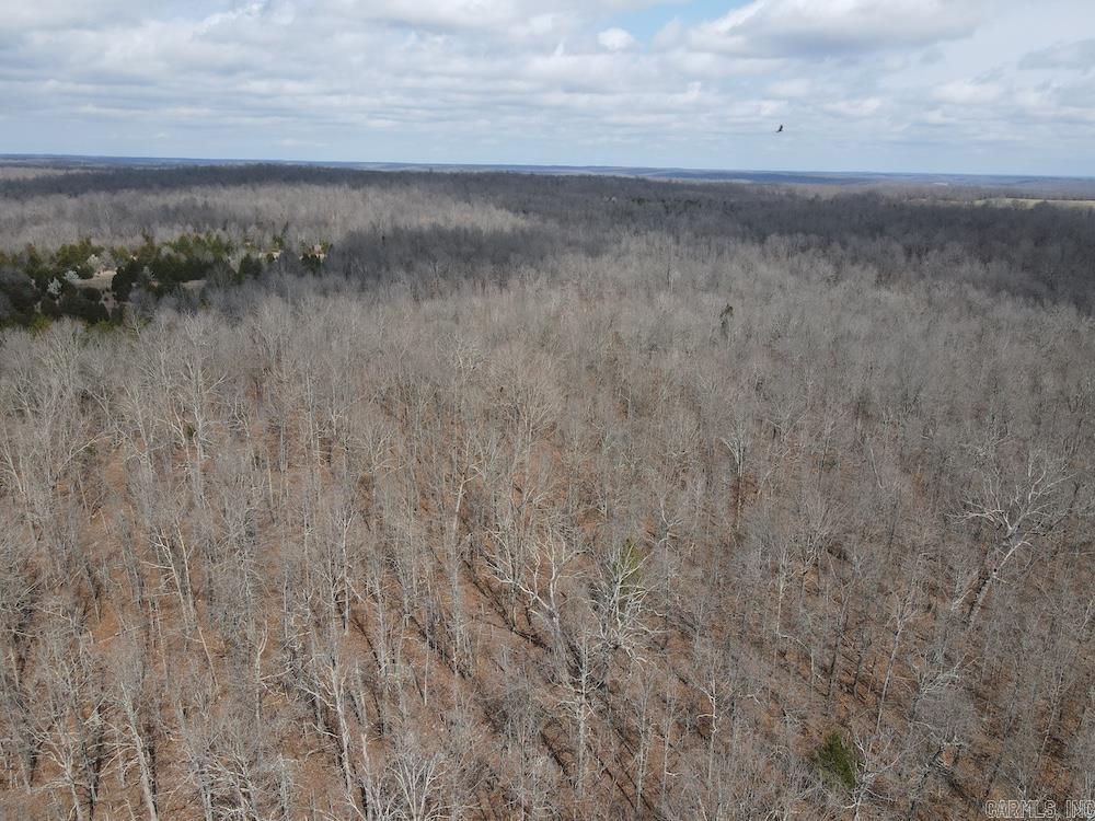 Photo 20 - Vacant Land for sale –   Red Bud Road   Sturkie, AR