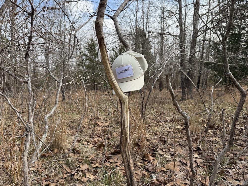 Photo 3 - Vacant Land for sale –   Red Bud Road   Sturkie, AR