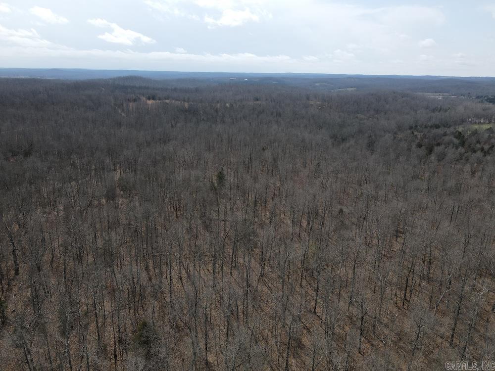 Photo 22 - Vacant Land for sale –   Red Bud Road   Sturkie, AR