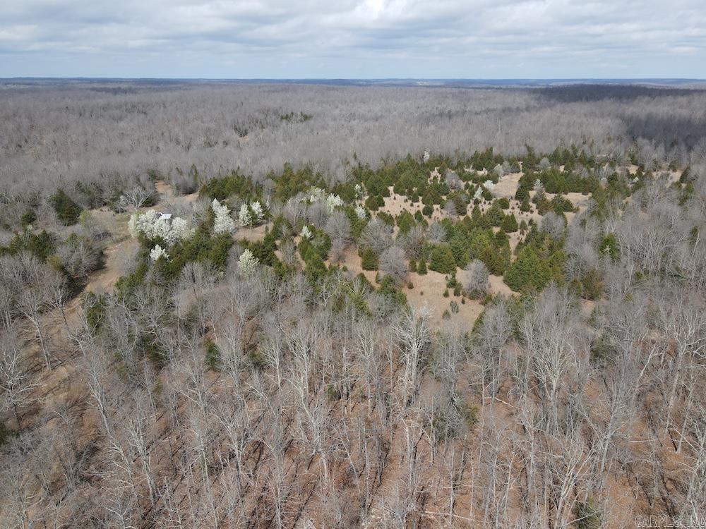 Photo 23 - Vacant Land for sale –   Red Bud Road   Sturkie, AR