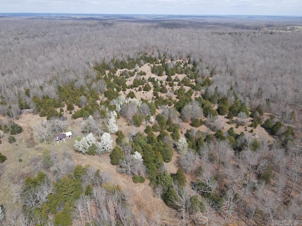 Photo 24 - Vacant Land for sale –   Red Bud Road   Sturkie, AR